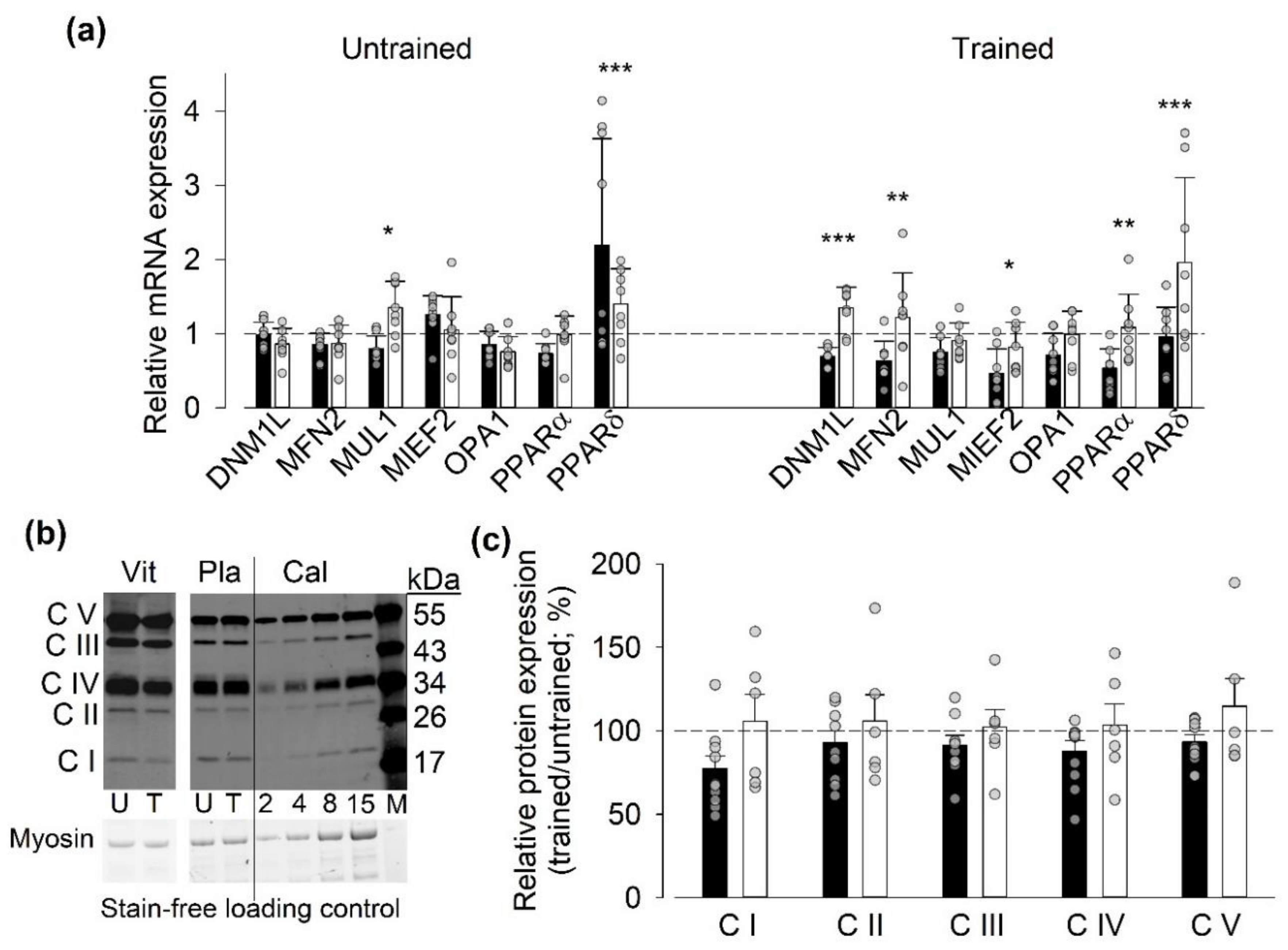 Antioxidants 09 00879 g005