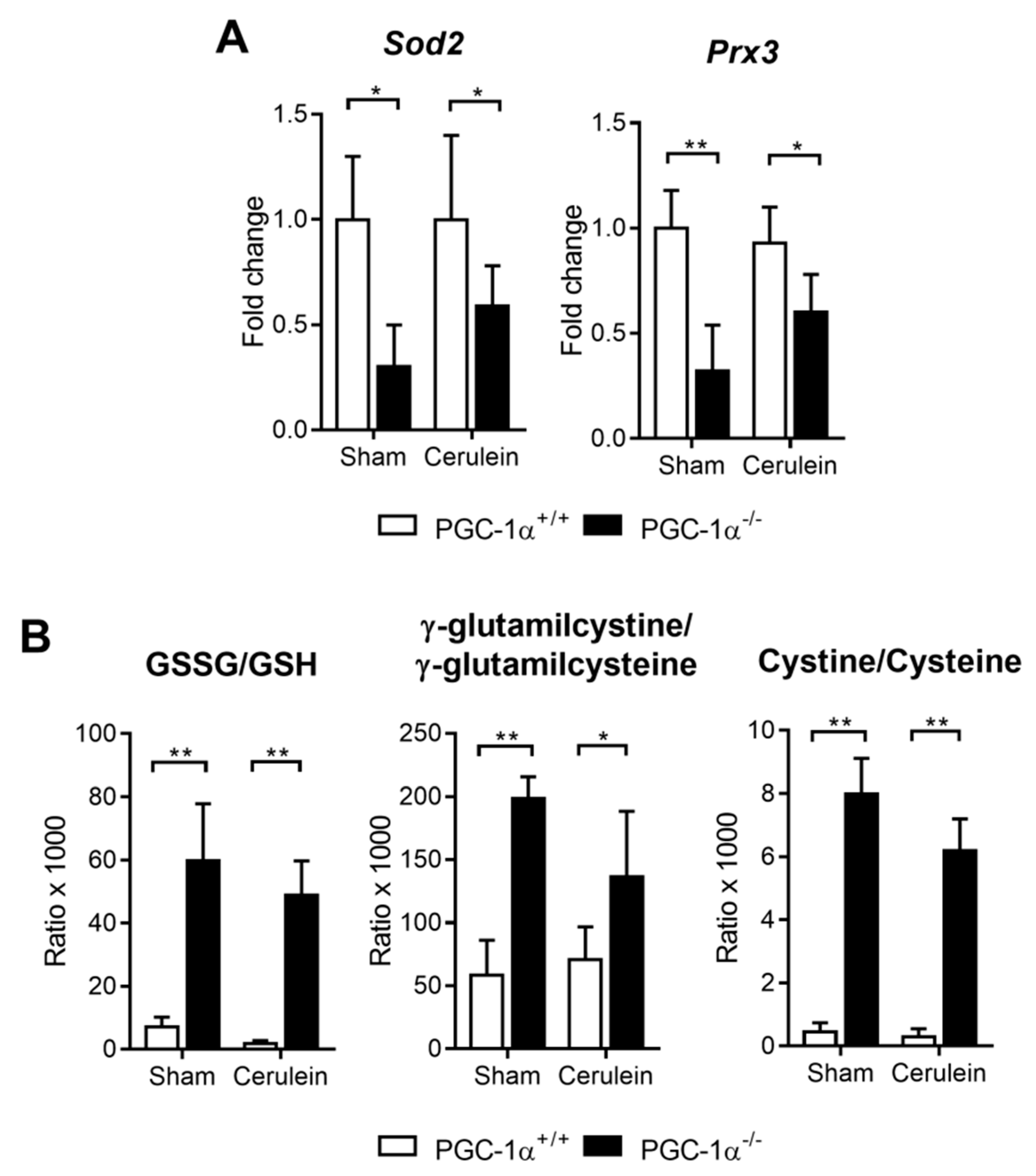 Antioxidants 09 00887 g004 Antioxidants 09 00887 g004