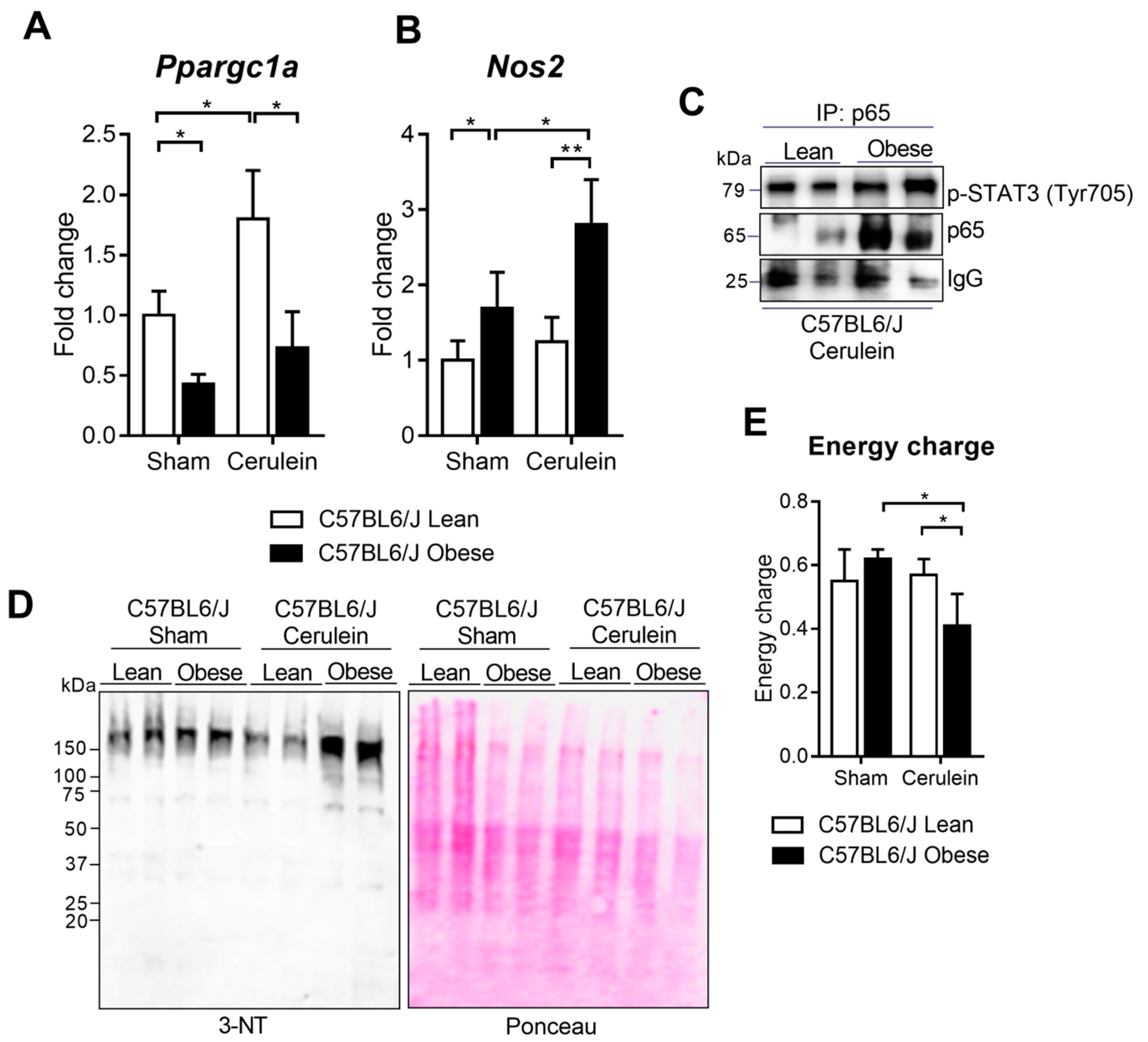 Antioxidants 09 00887 g006 Antioxidants 09 00887 g006