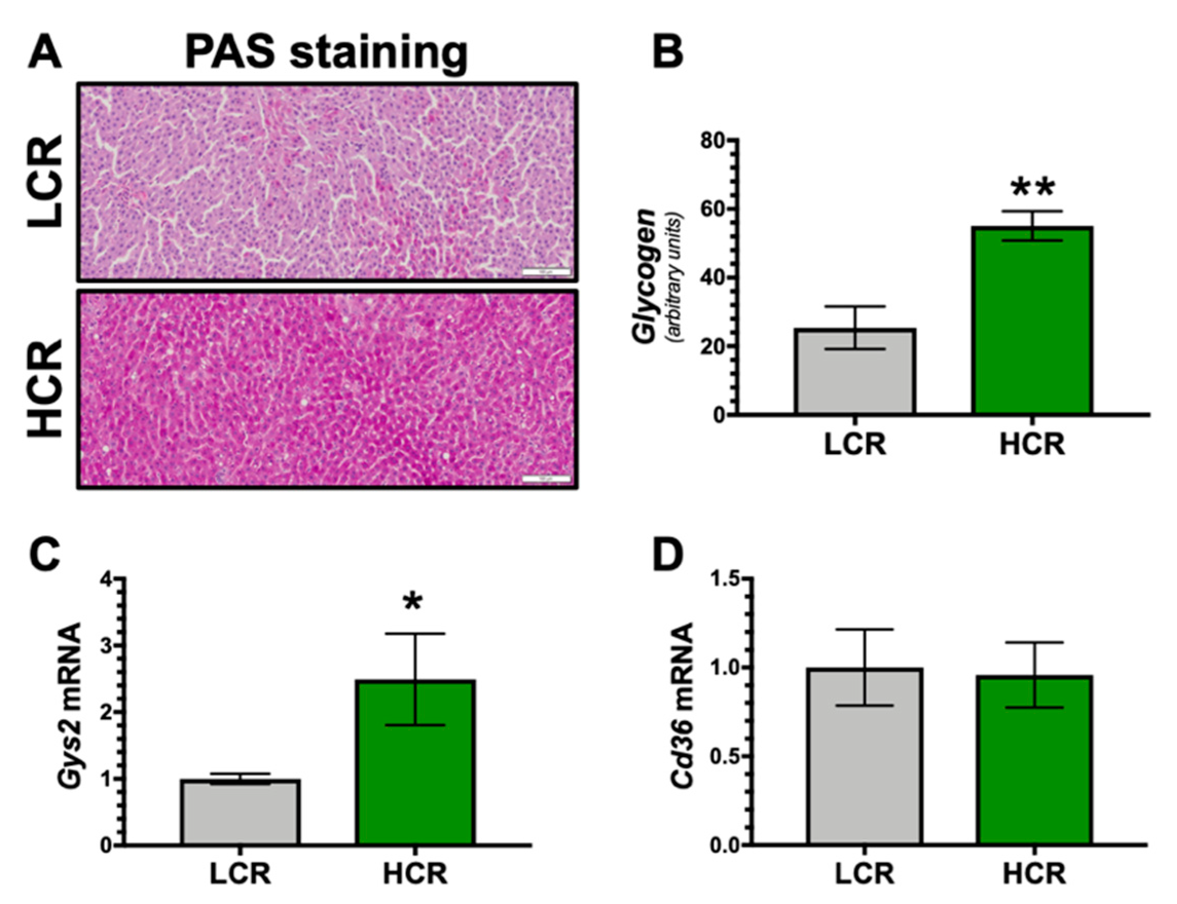 Antioxidants 09 00889 g005