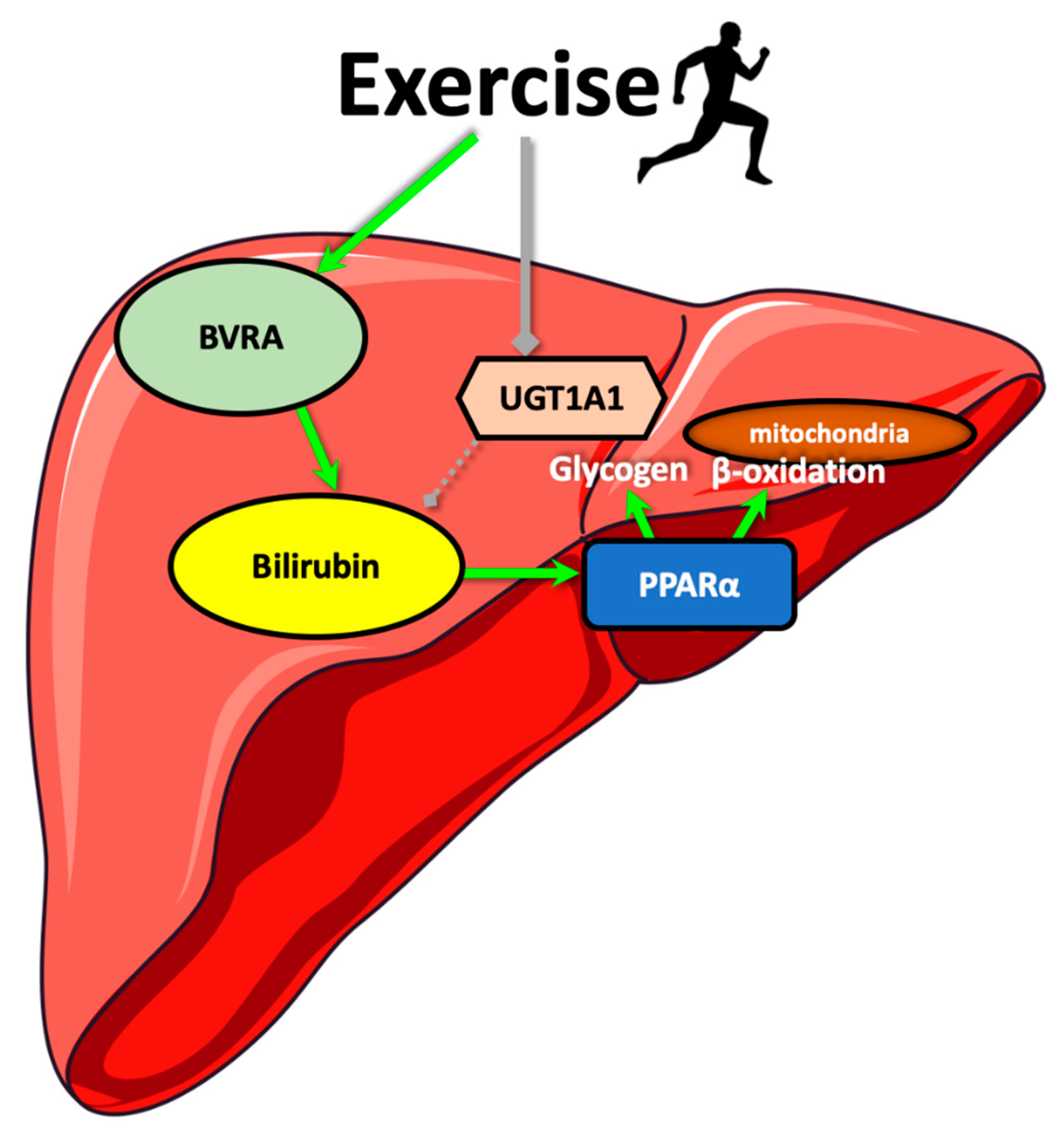 Antioxidants 09 00889 g007