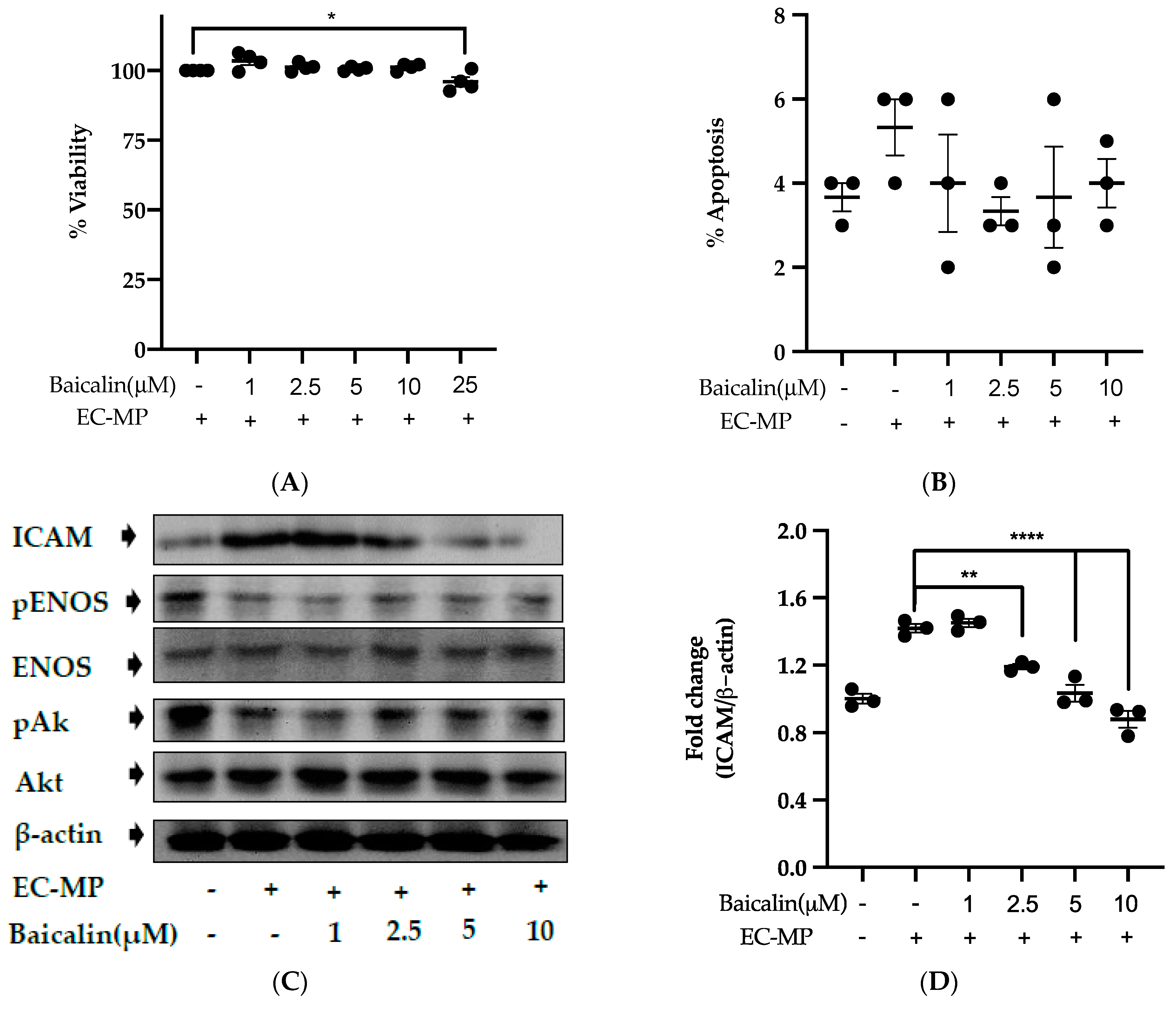 Antioxidants 09 00890 g004a