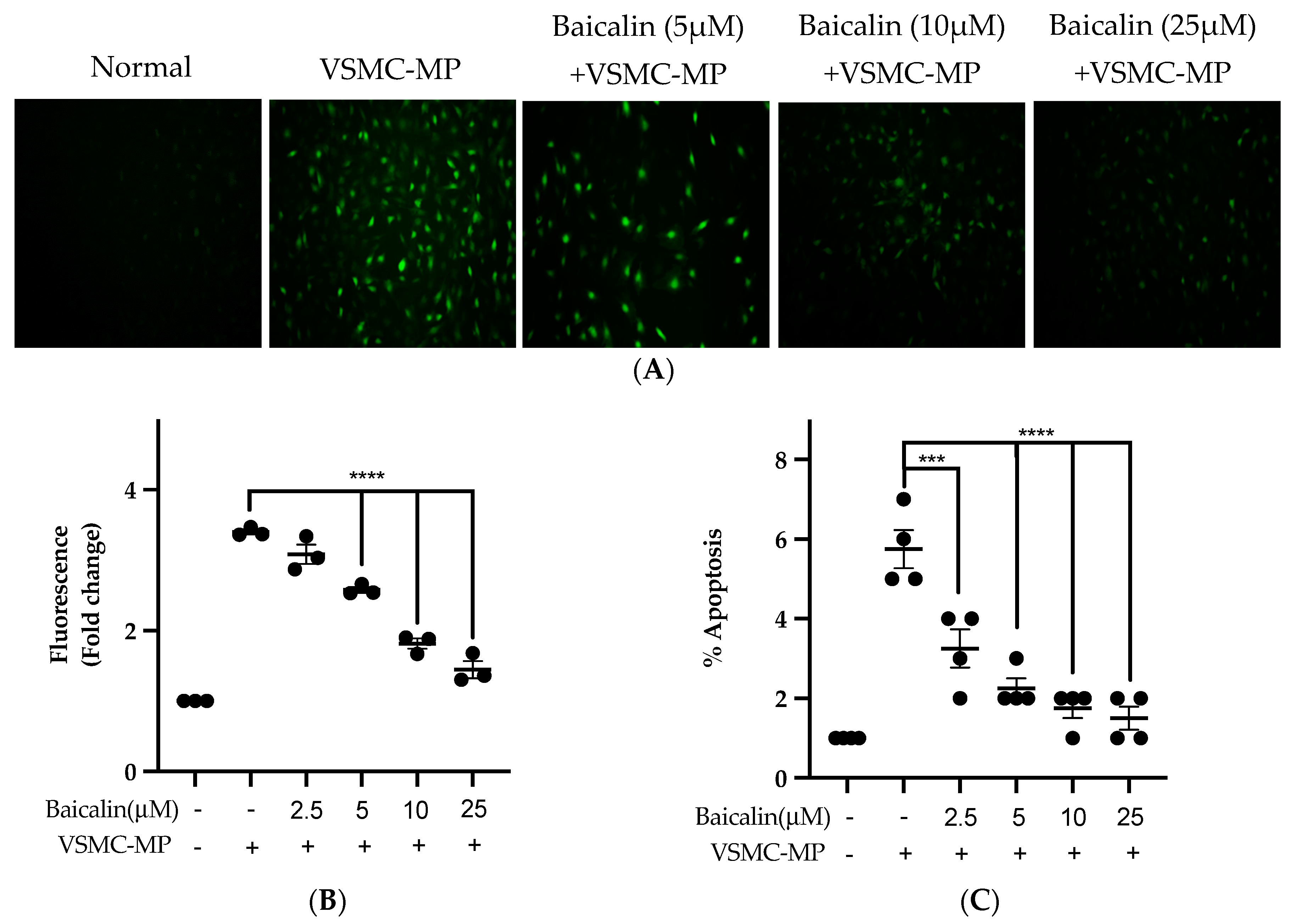 Antioxidants 09 00890 g007