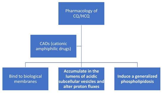 Antioxidants 09 00894 g002 550