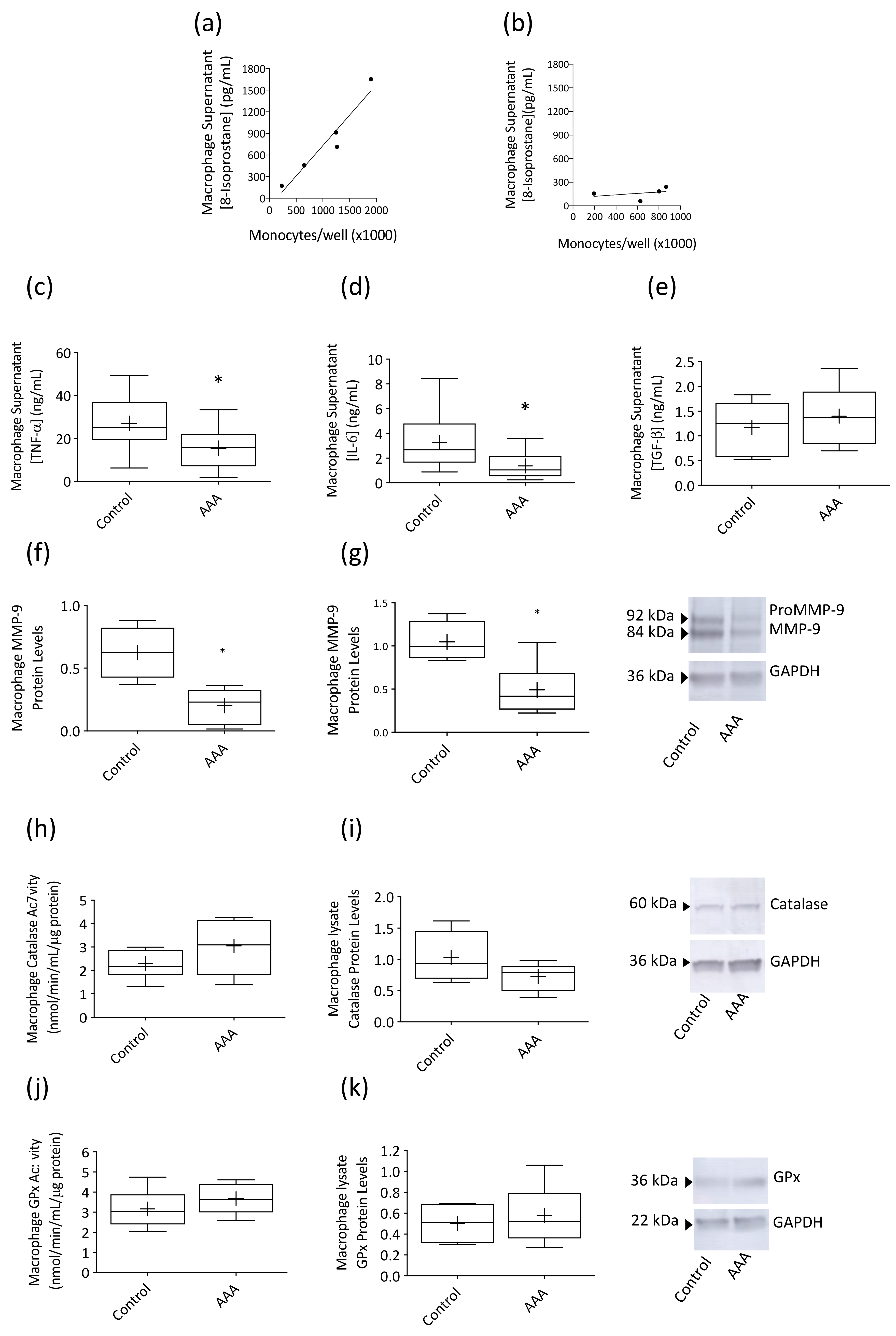 Antioxidants 09 00896 g002