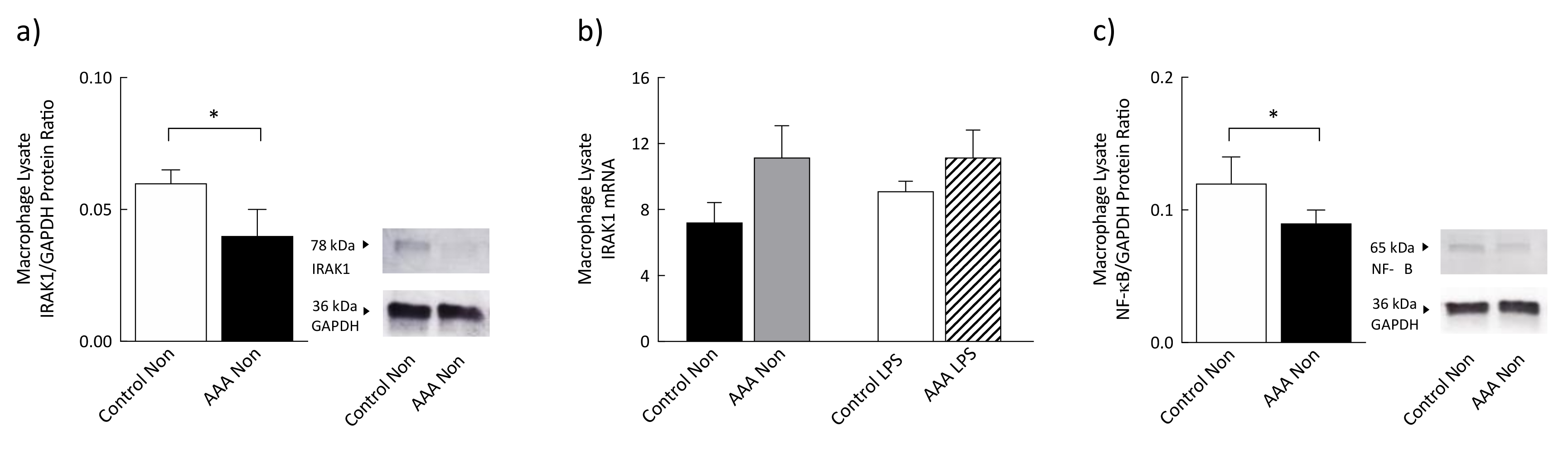 Antioxidants 09 00896 g005