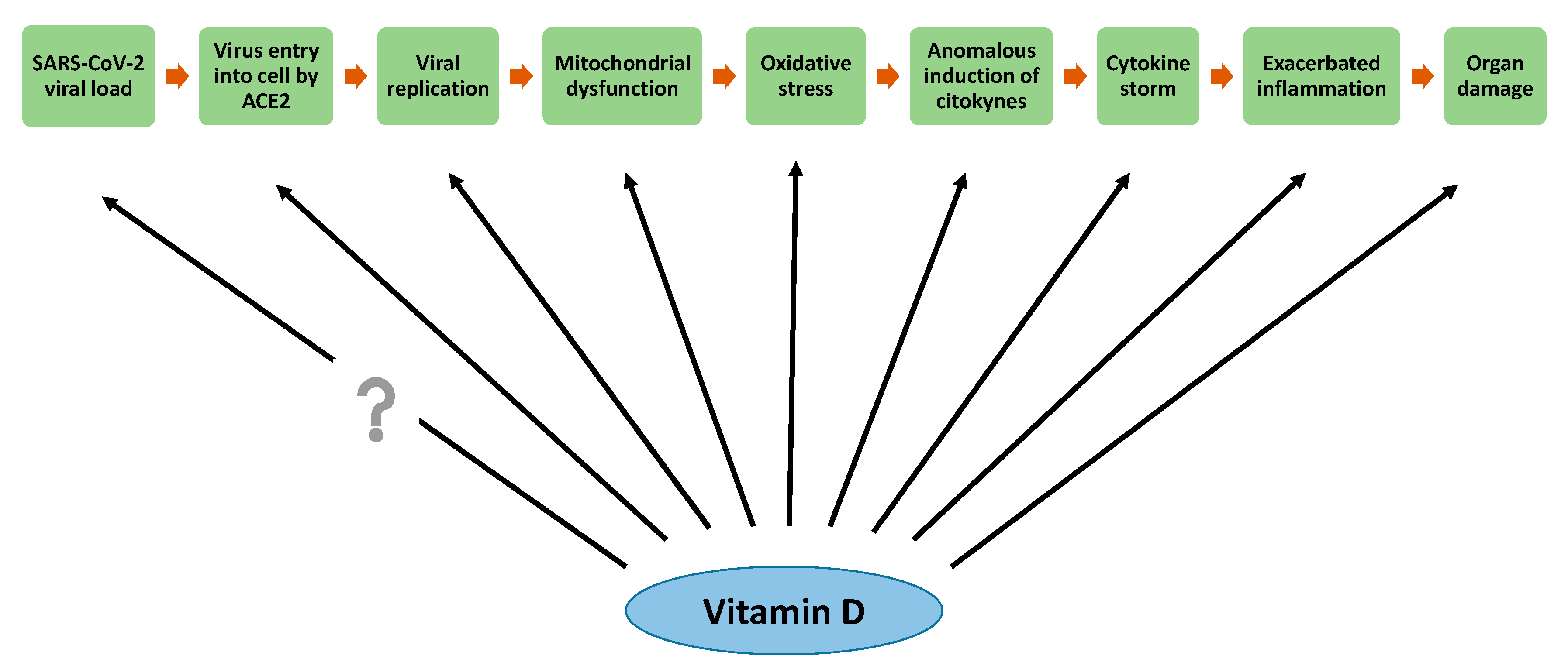Antioxidants 09 00897 g002