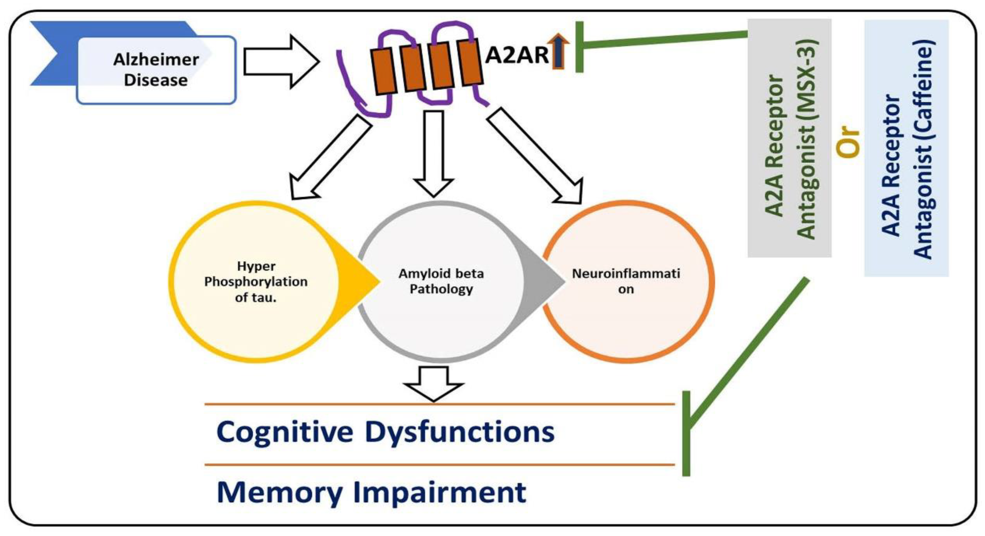 Antioxidants 09 00902 g002