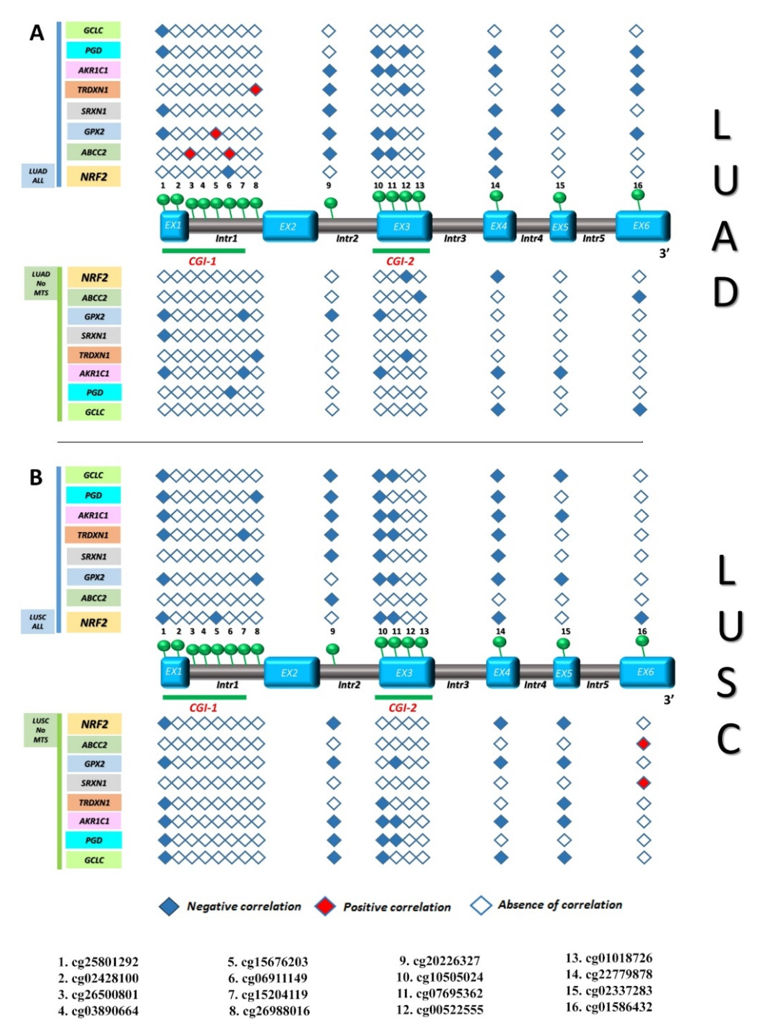 Antioxidants 09 00904 g008 Antioxidants 09 00904 g008