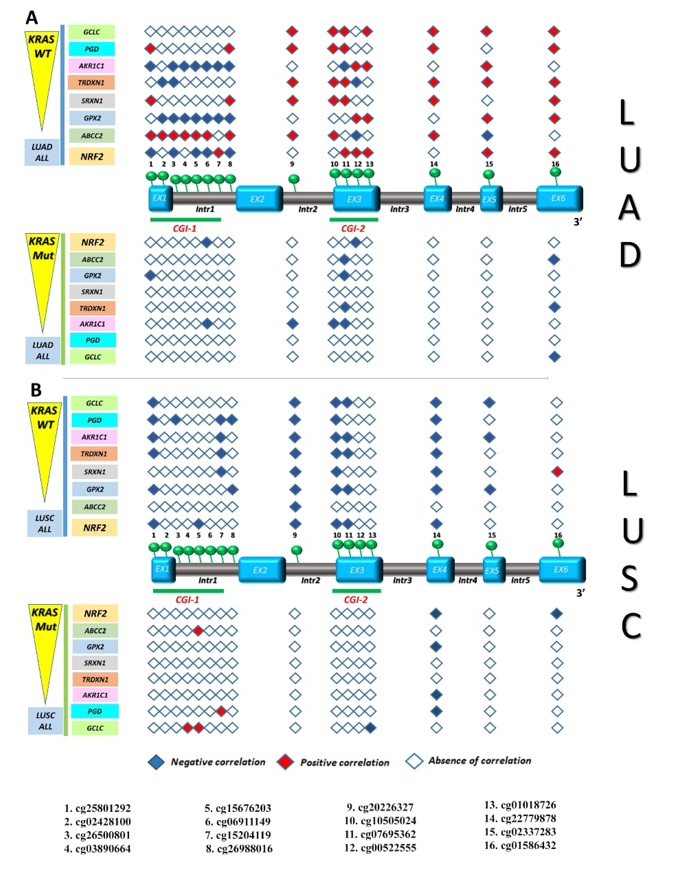 Antioxidants 09 00904 g009 Antioxidants 09 00904 g009