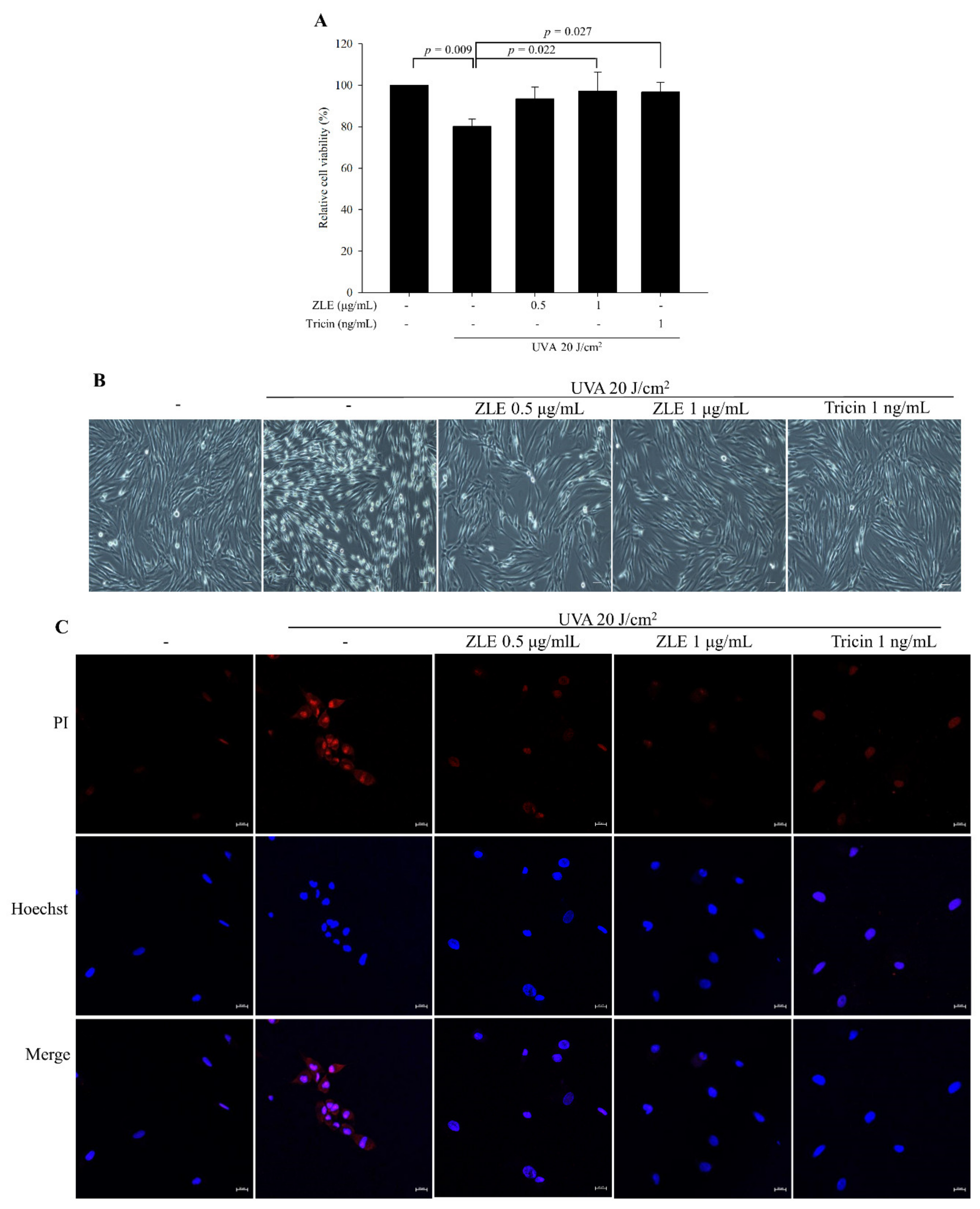 Antioxidants 09 00912 g002 Antioxidants 09 00912 g002