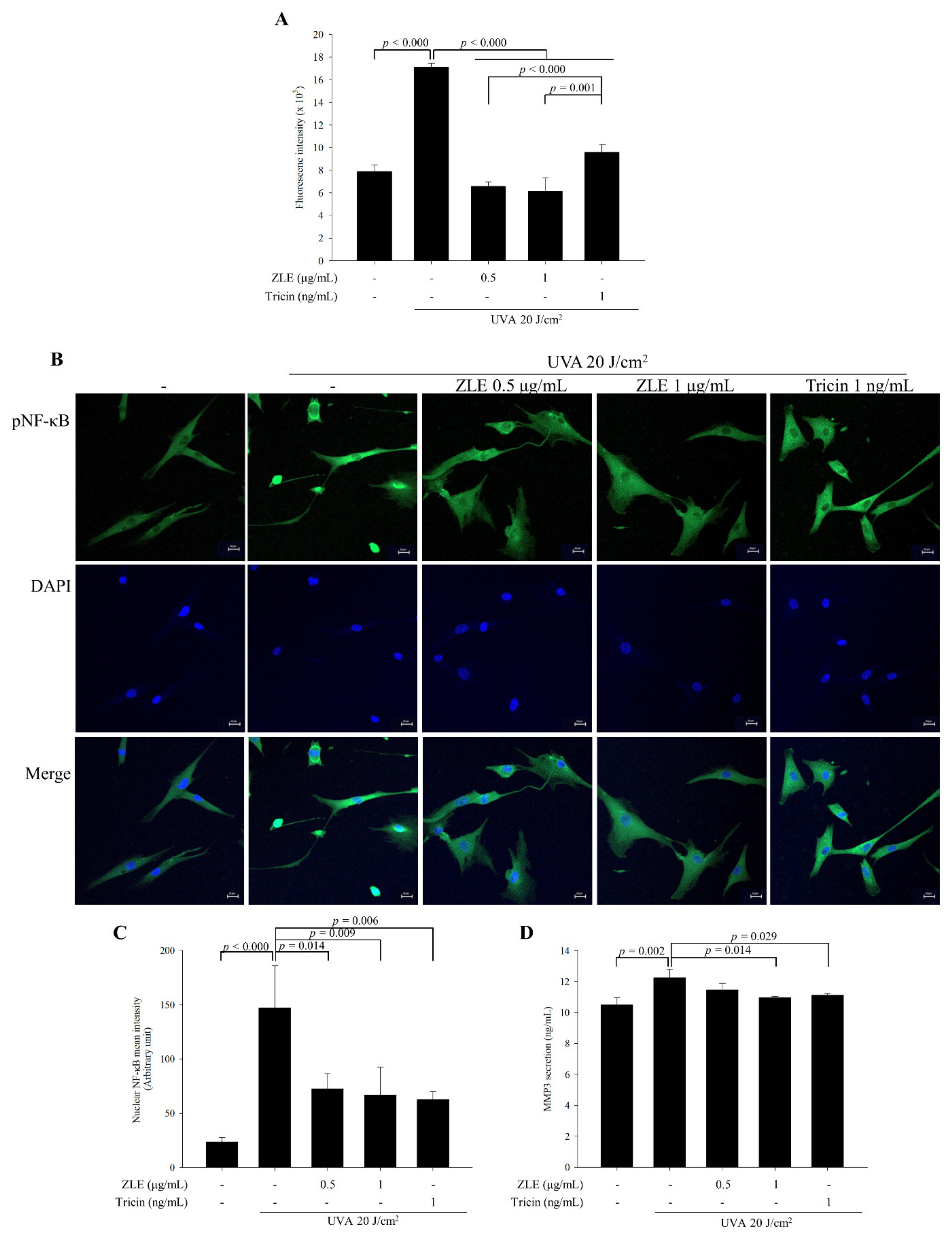 Antioxidants 09 00912 g004 Antioxidants 09 00912 g004