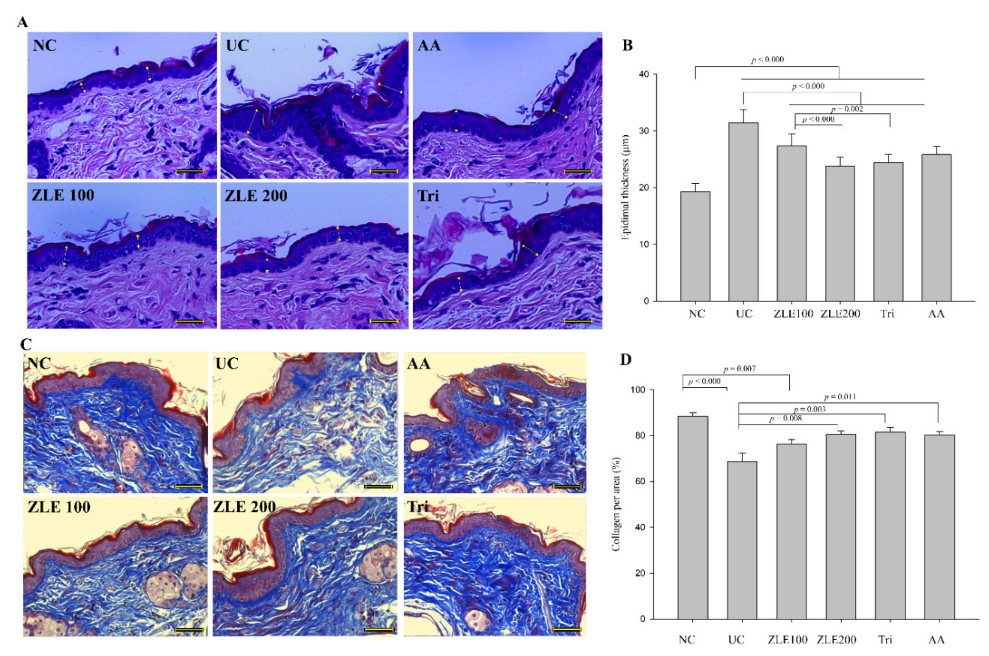 Antioxidants 09 00912 g009 Antioxidants 09 00912 g009