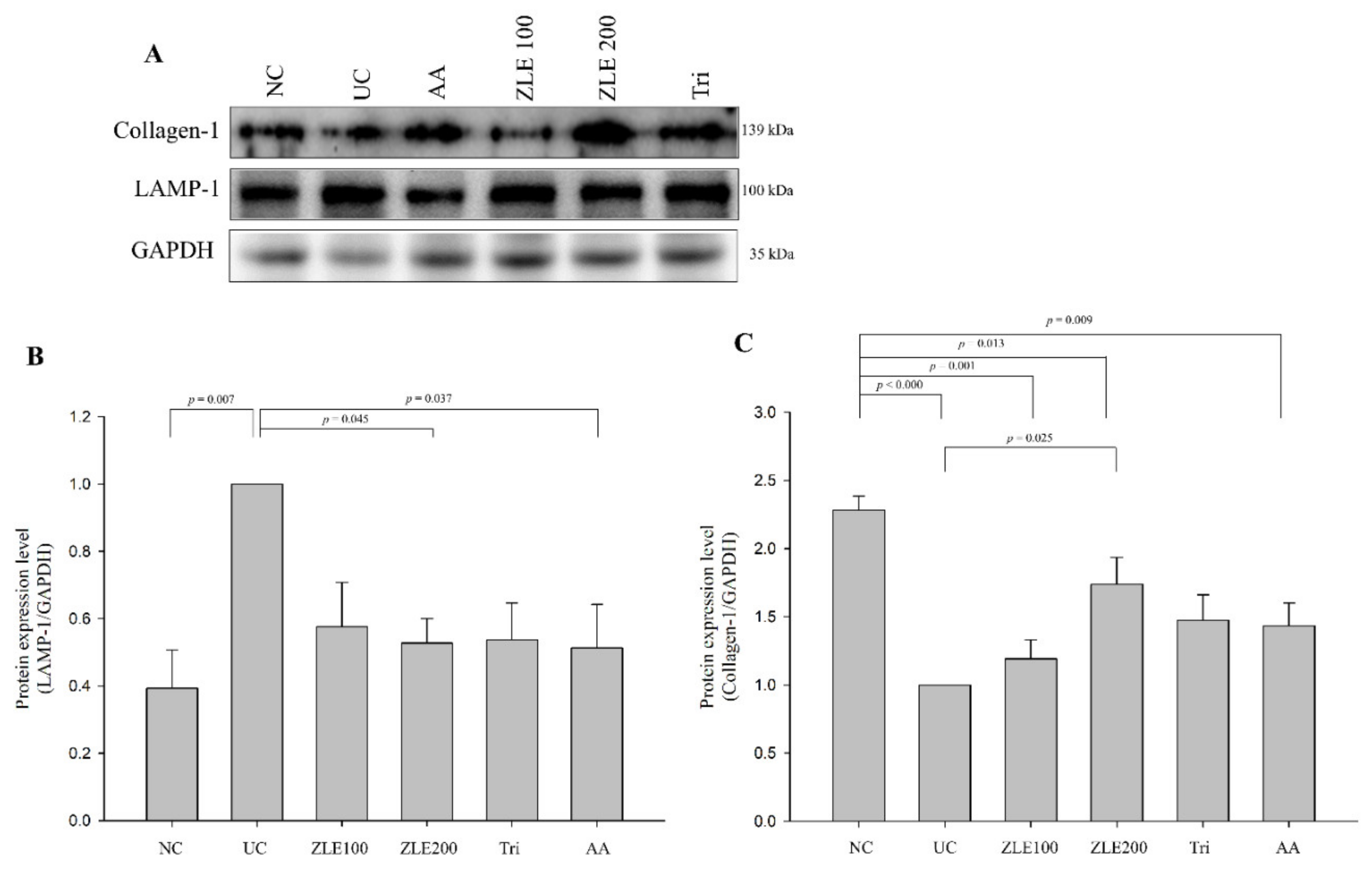 Antioxidants 09 00912 g010 Antioxidants 09 00912 g010