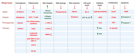 Antioxidants 09 00916 g005 550