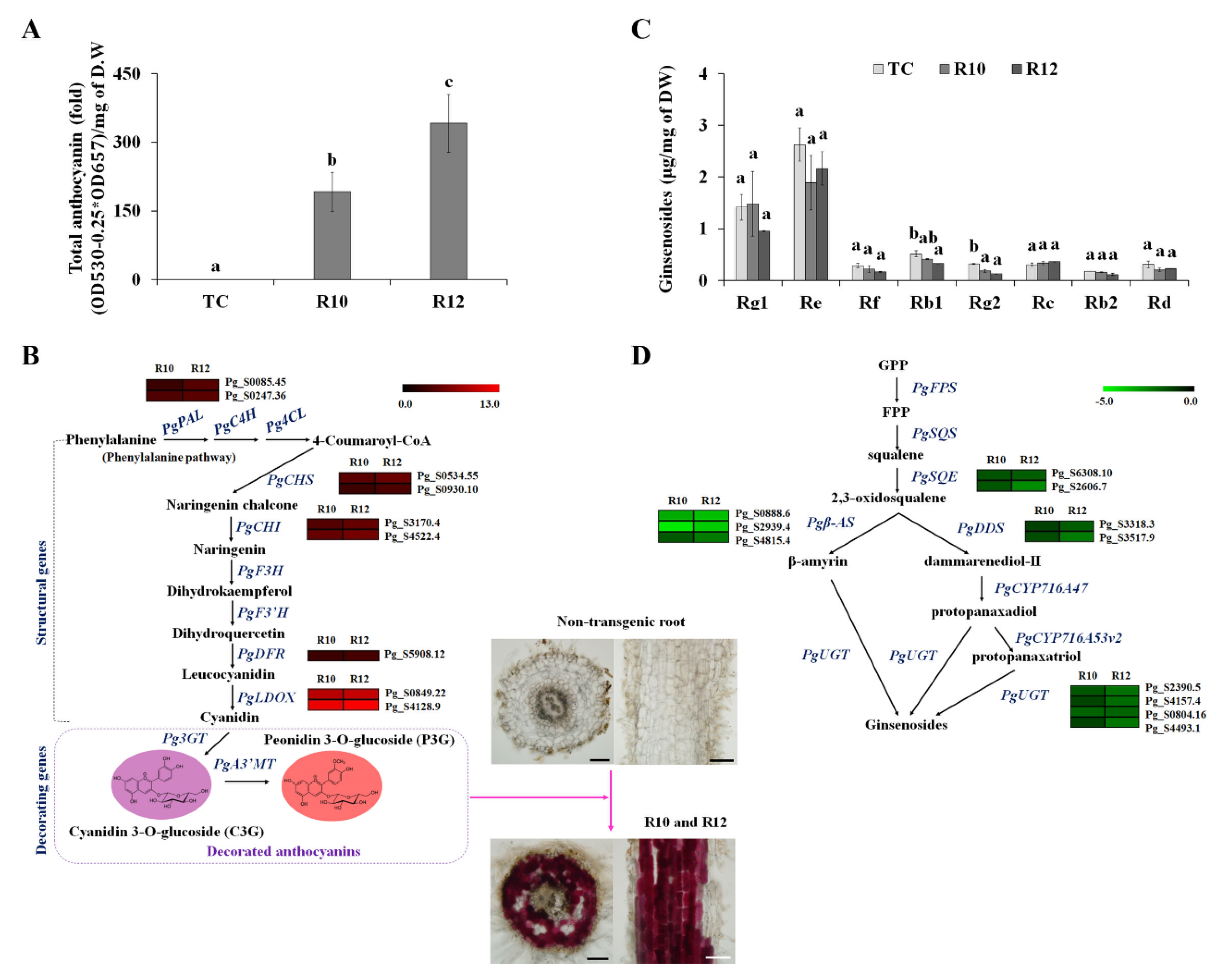 Antioxidants 09 00922 g003 Antioxidants 09 00922 g003