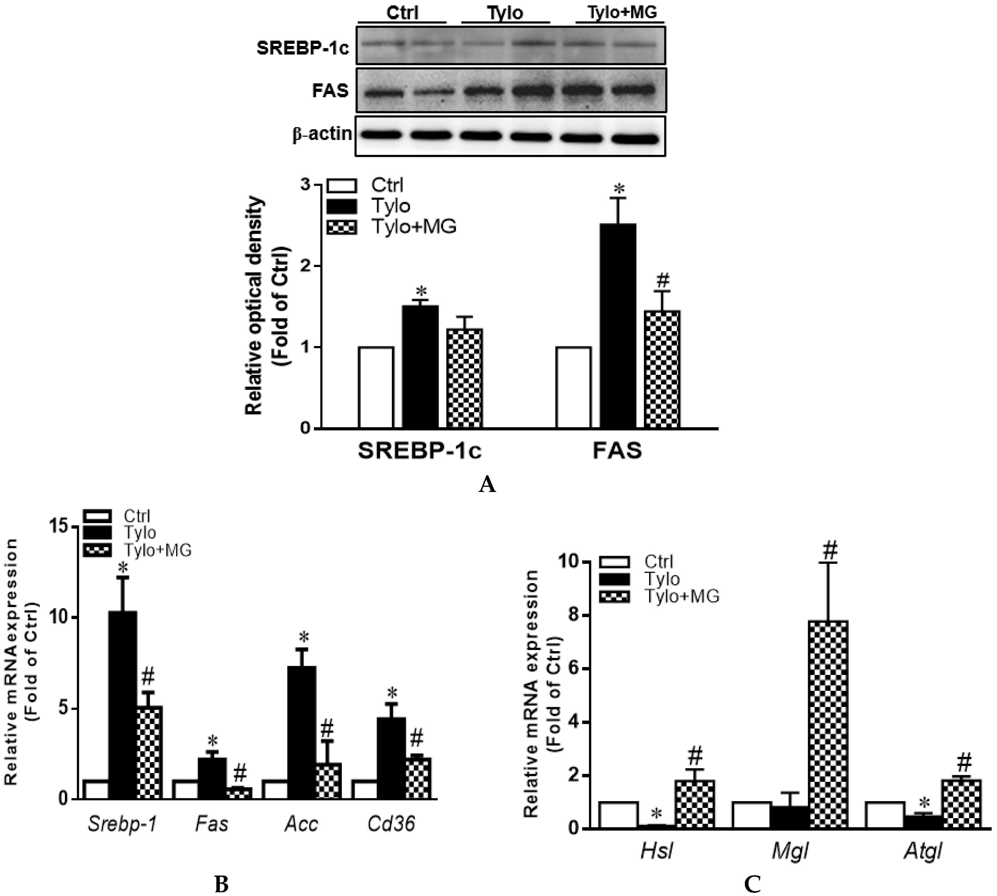 Antioxidants 09 00924 g002 Antioxidants 09 00924 g002