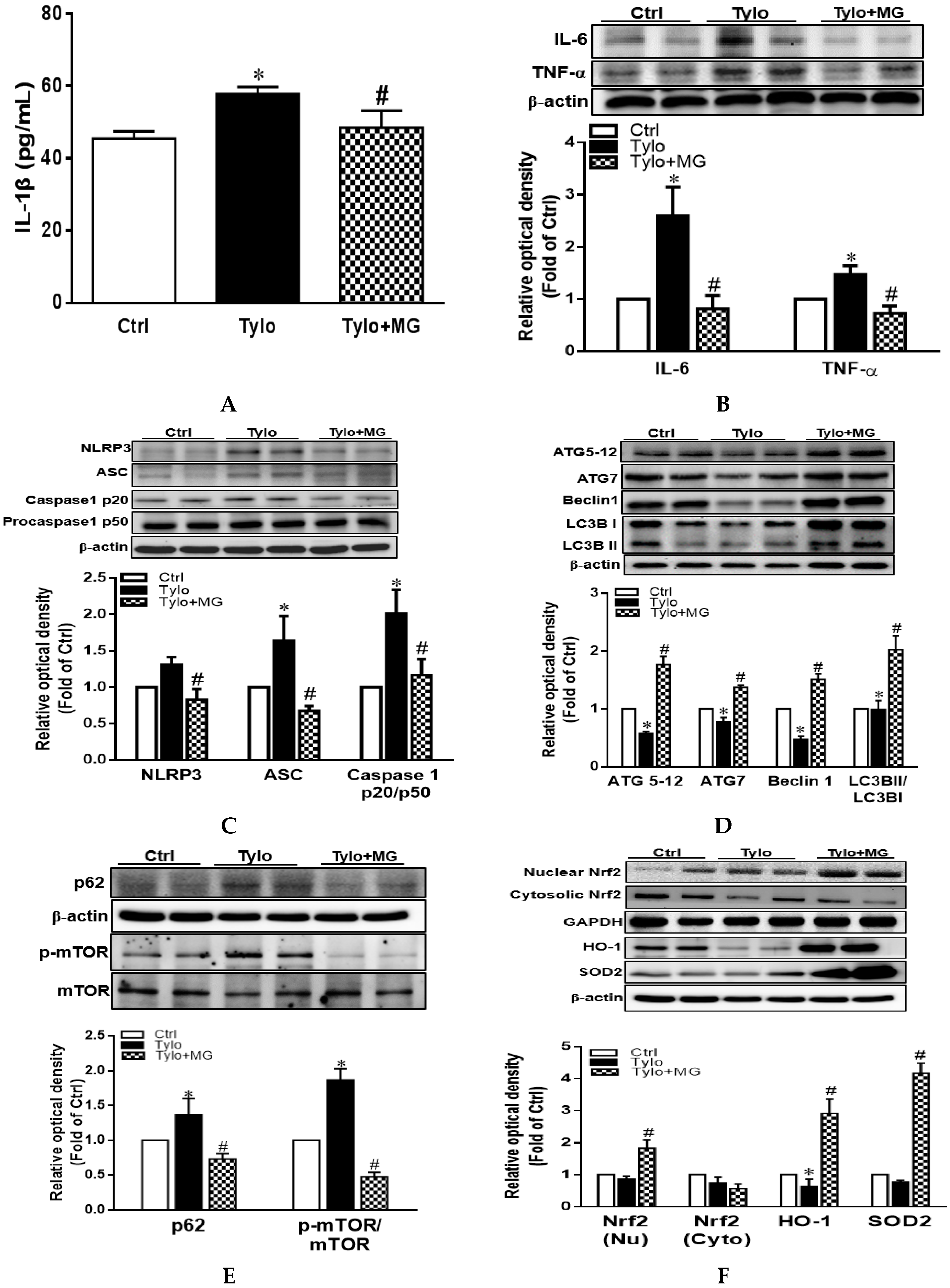 Antioxidants 09 00924 g003 Antioxidants 09 00924 g003