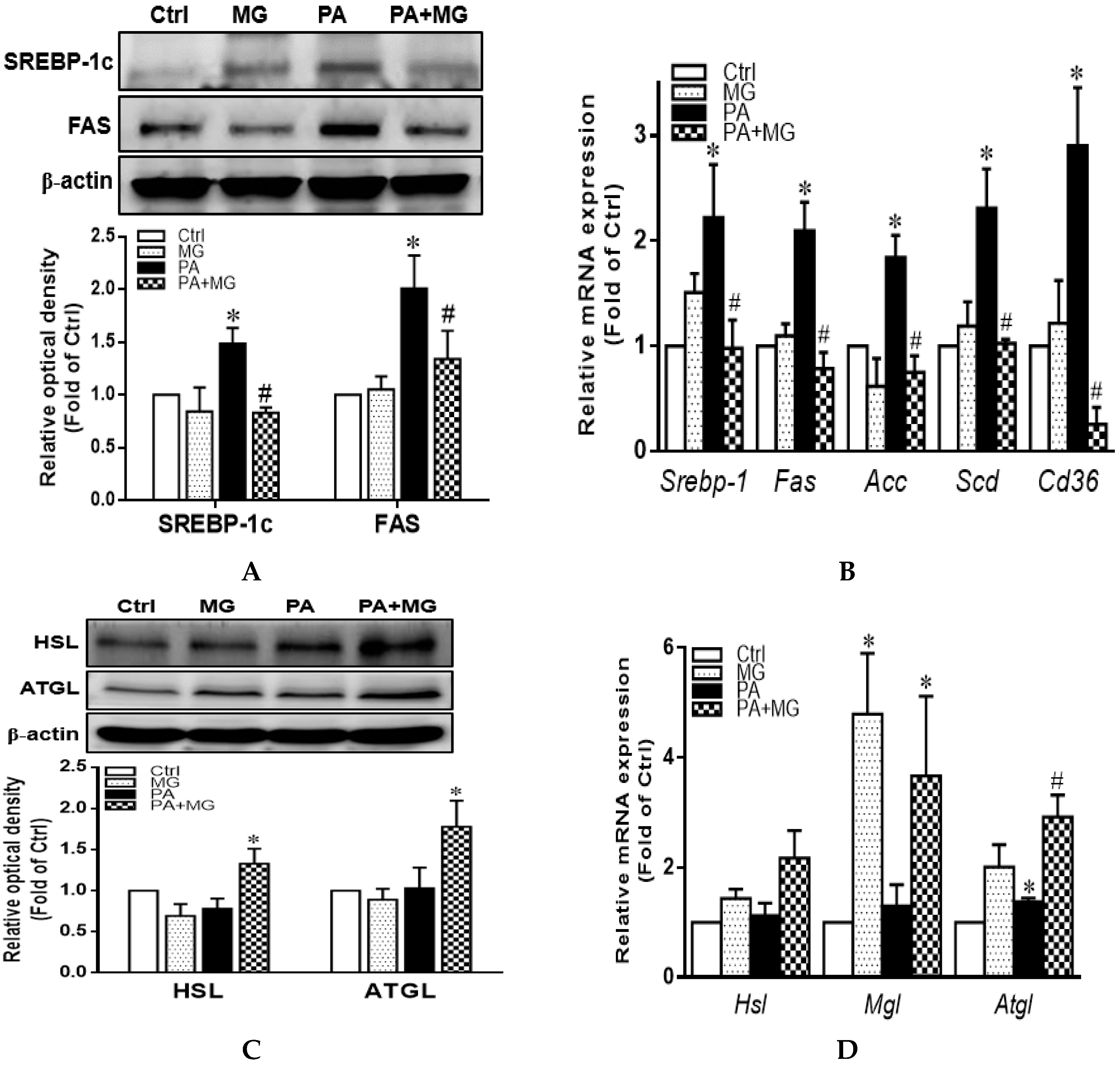 Antioxidants 09 00924 g005 Antioxidants 09 00924 g005