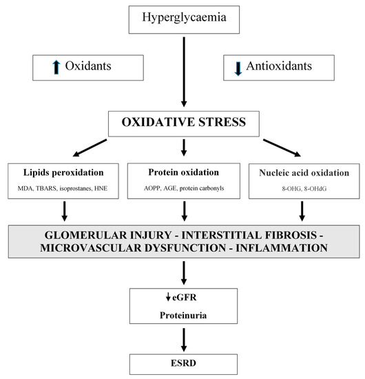 Antioxidants 09 00925 g001 550