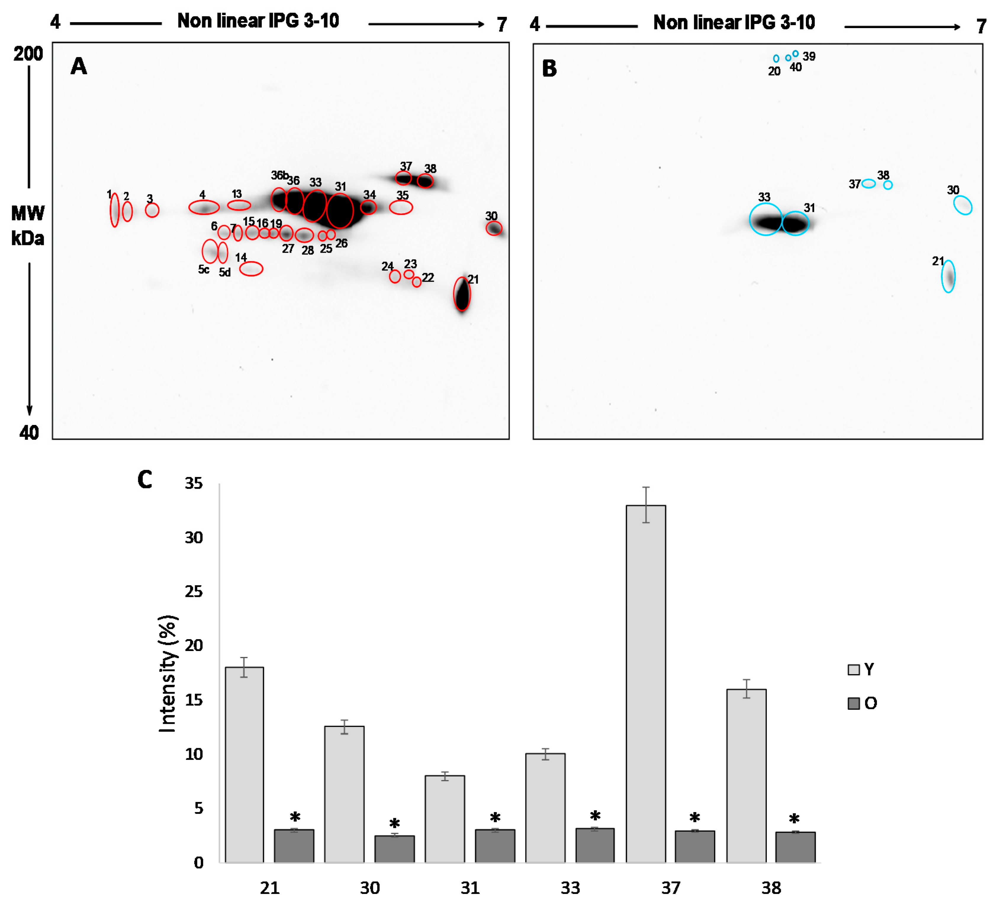 Antioxidants 09 00927 g003