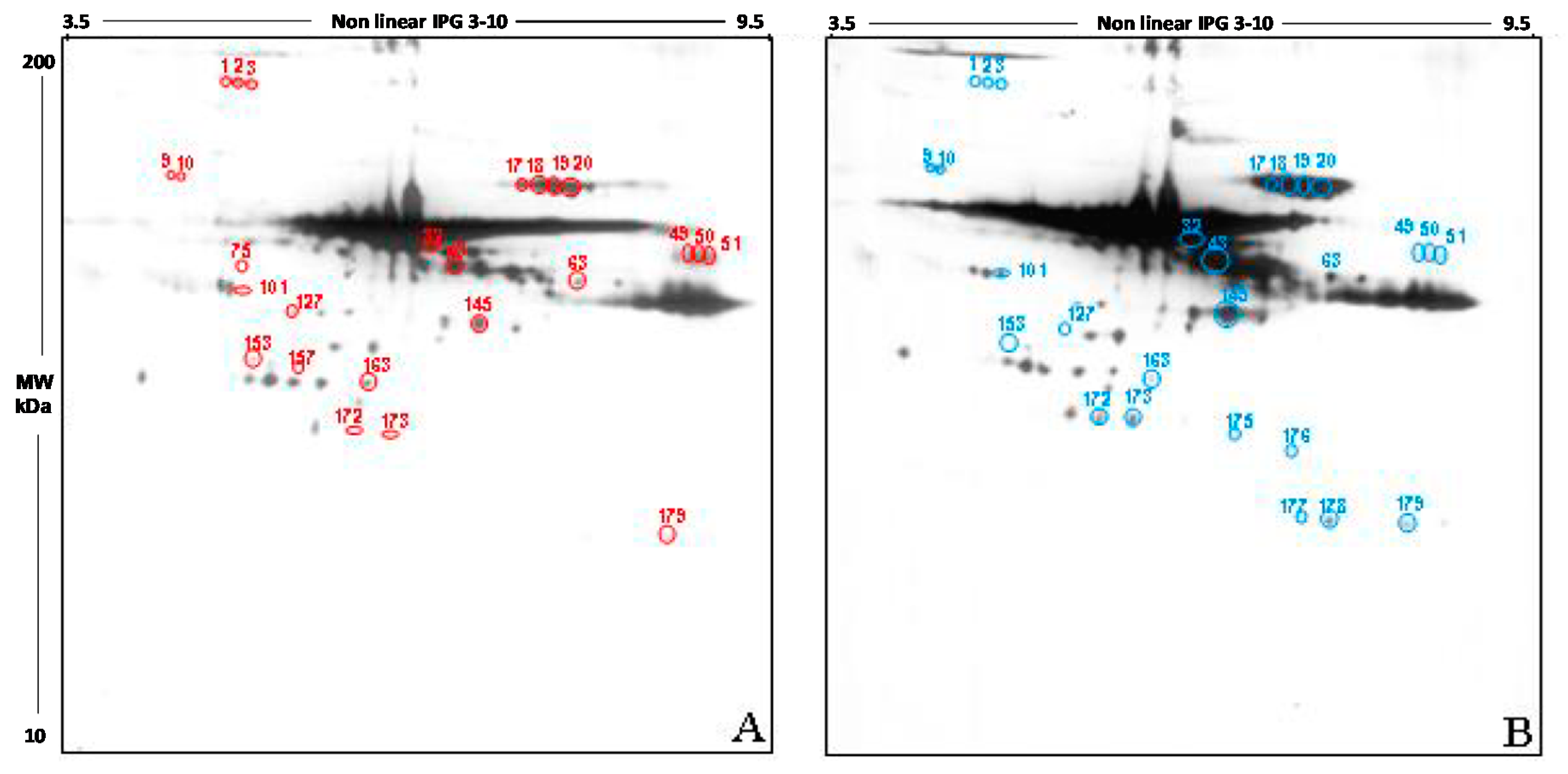 Antioxidants 09 00927 g004