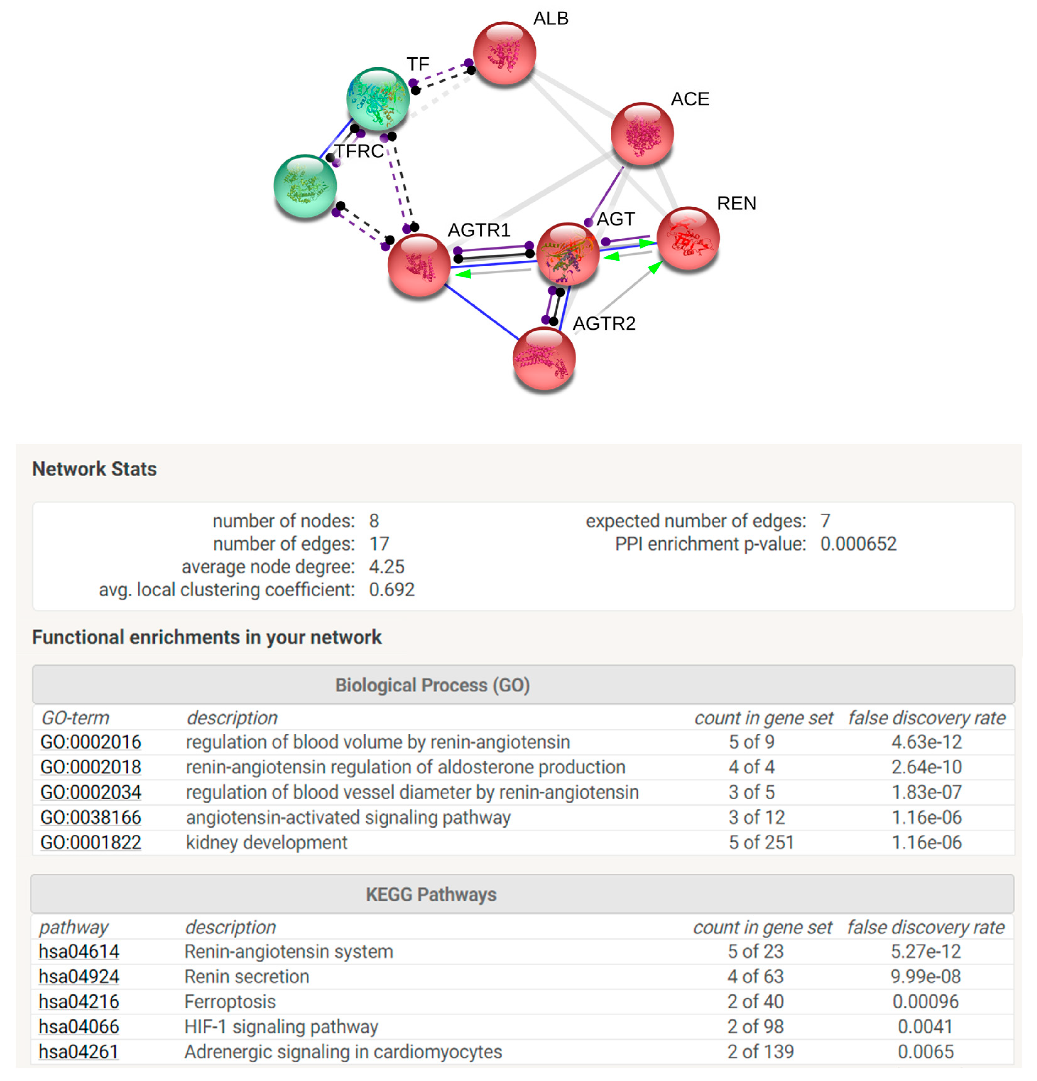 Antioxidants 09 00927 g005