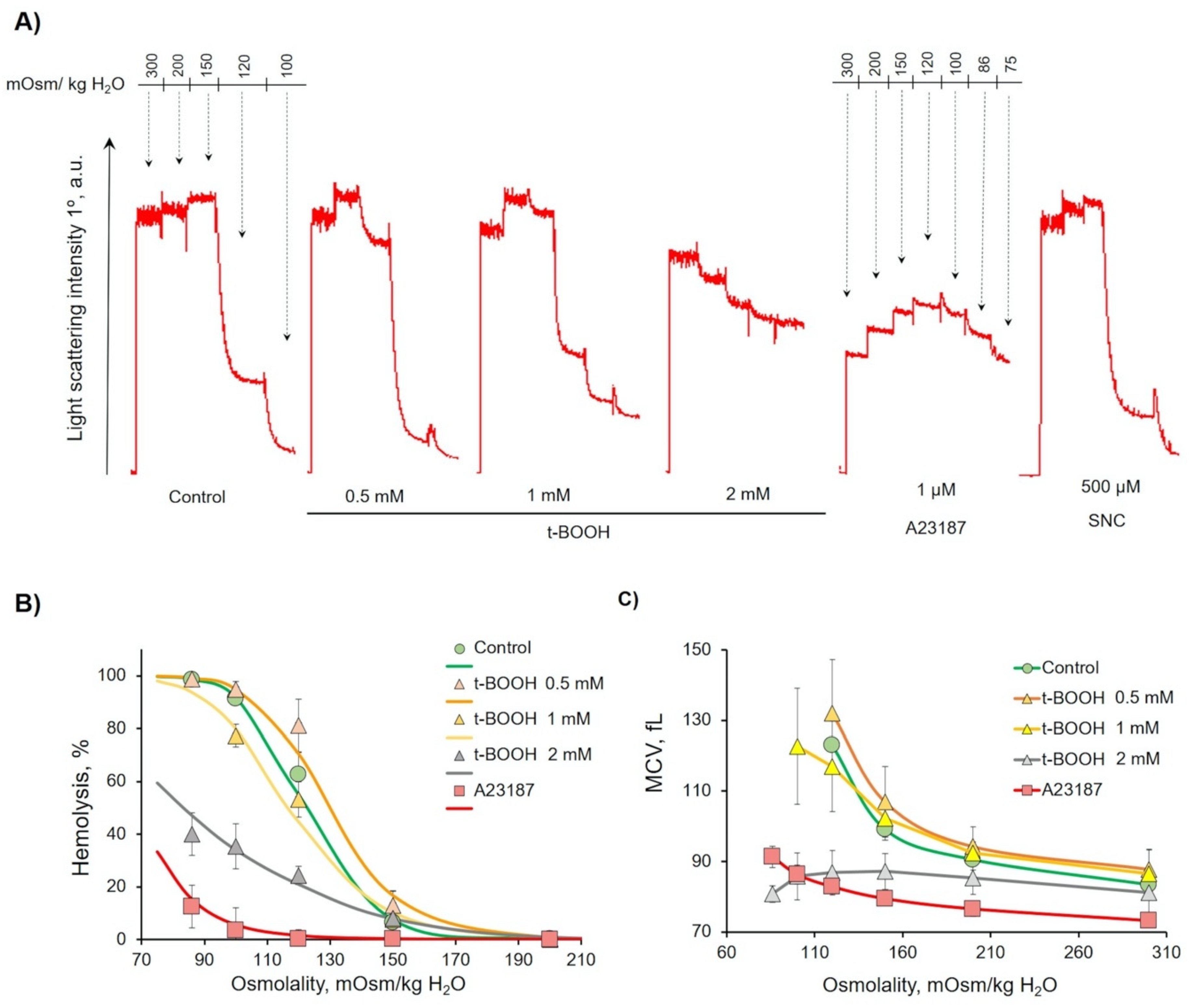 Antioxidants 09 00929 g005