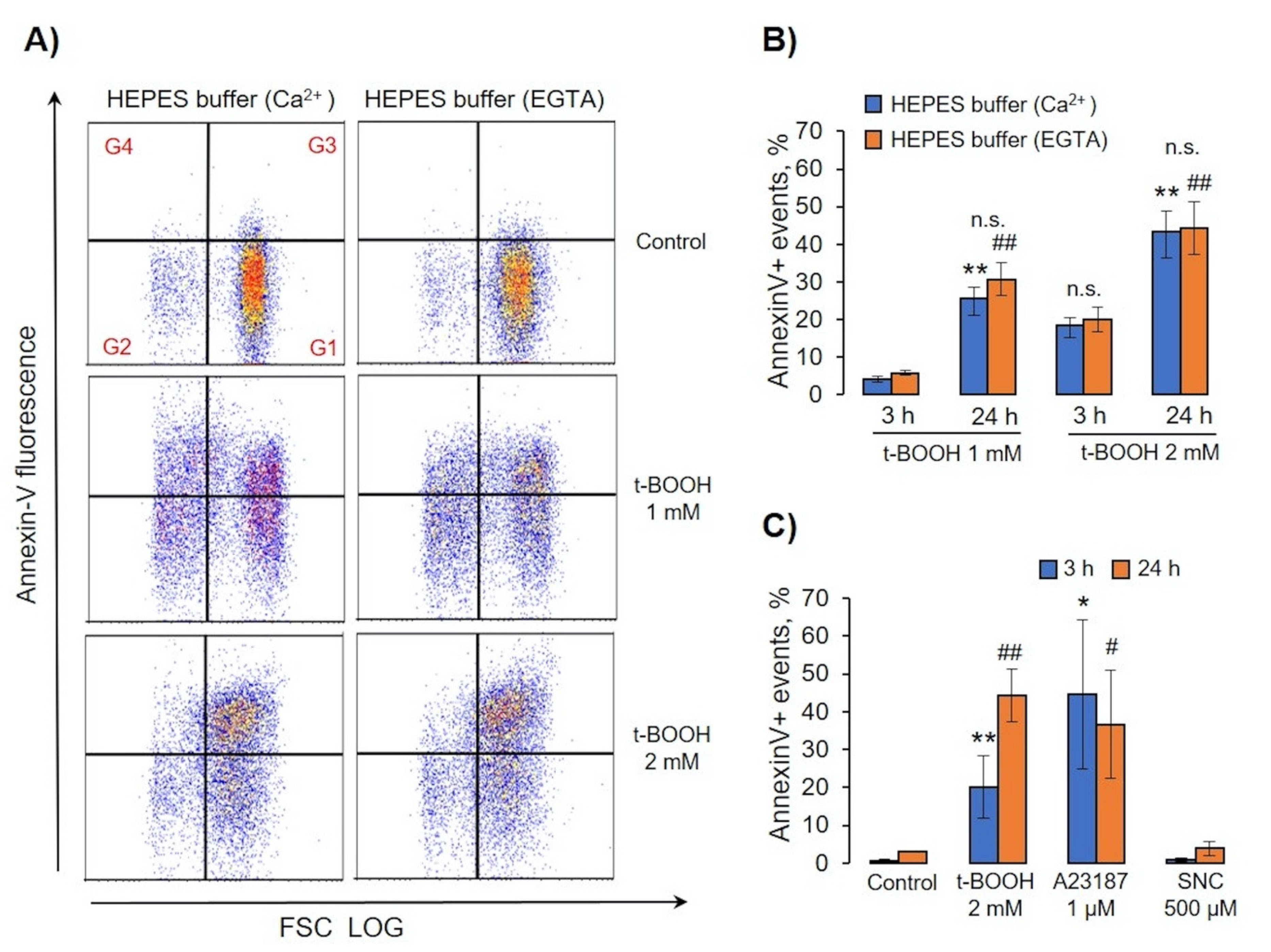Antioxidants 09 00929 g008