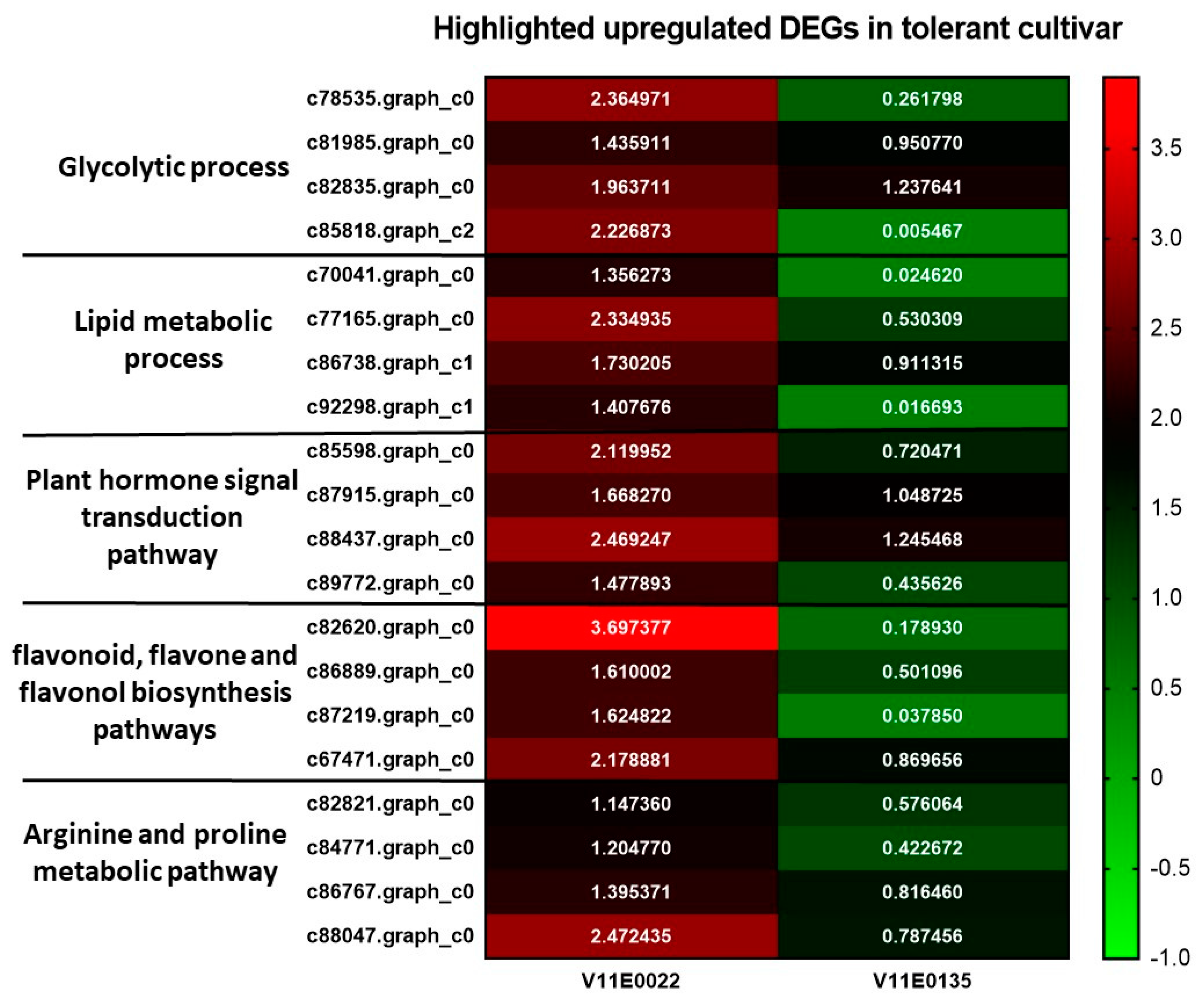Antioxidants 09 00940 g007