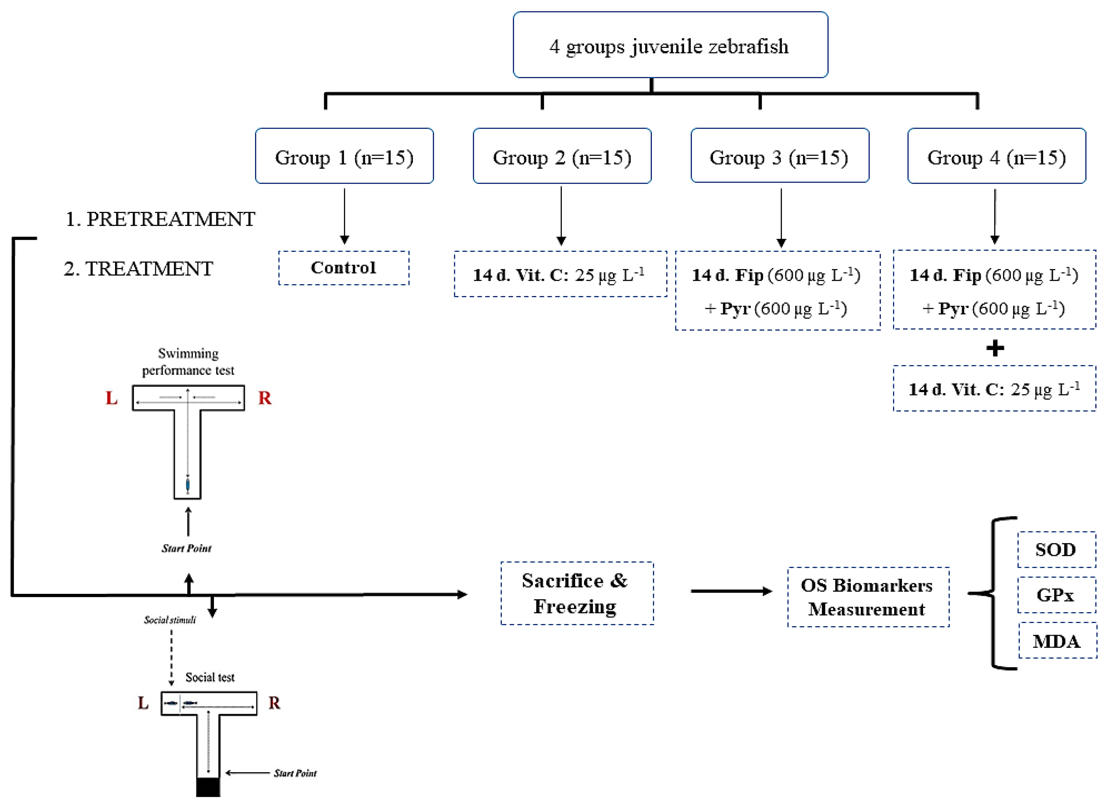 Antioxidants 09 00944 g001