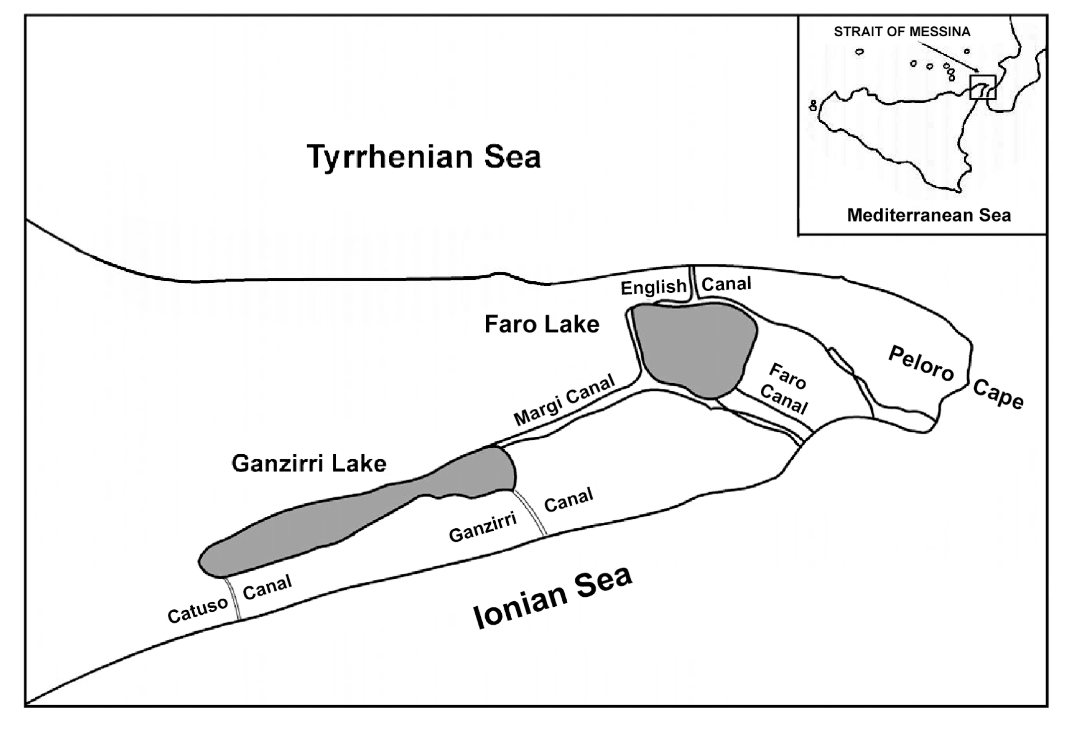 Antioxidants 09 00945 g001 Antioxidants 09 00945 g001