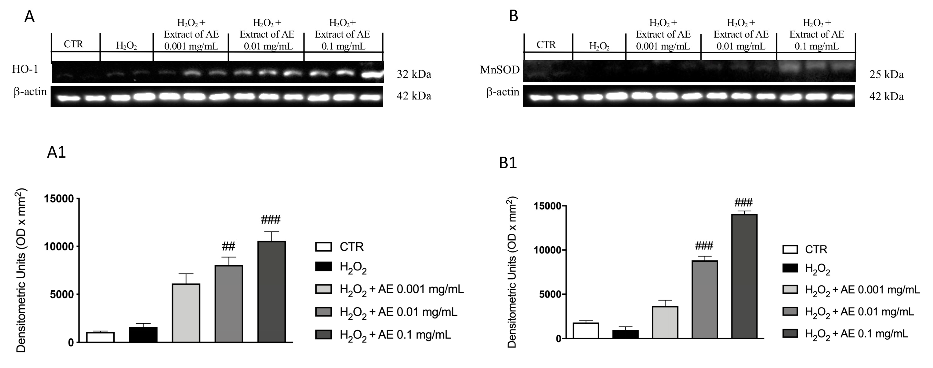 Antioxidants 09 00945 g003 Antioxidants 09 00945 g003