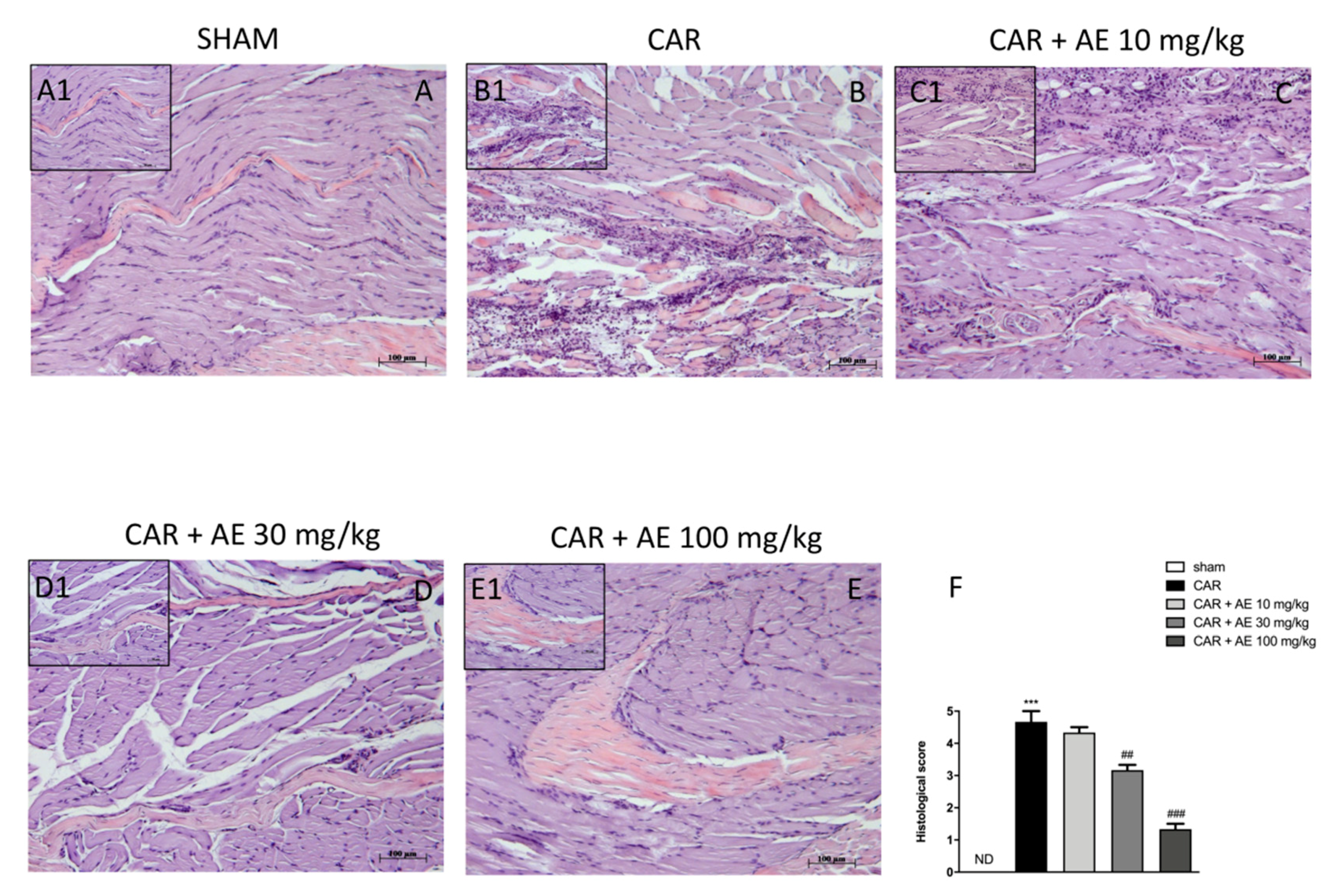 Antioxidants 09 00945 g005 Antioxidants 09 00945 g005