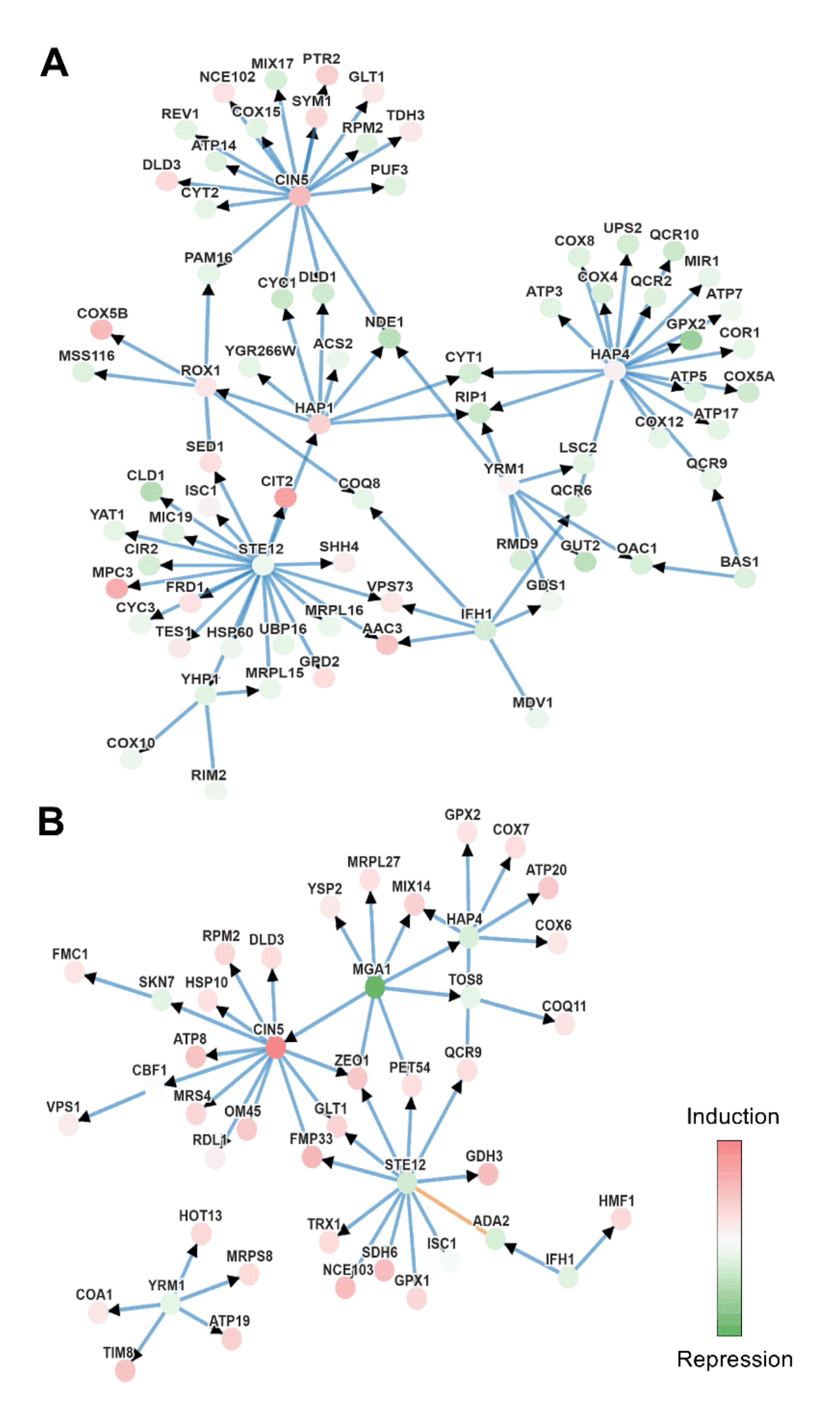 Antioxidants 09 00947 g007 Antioxidants 09 00947 g007