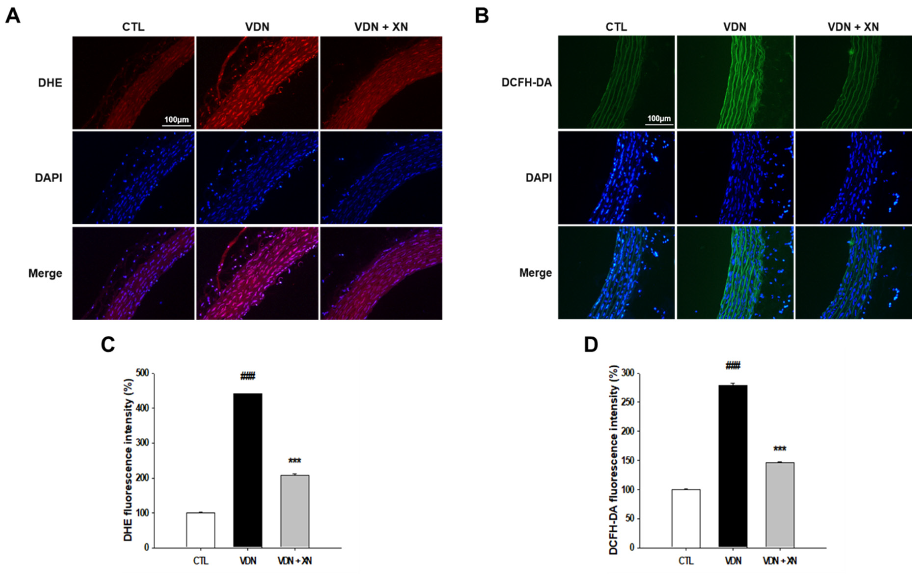 Antioxidants 09 00956 g007 Antioxidants 09 00956 g007