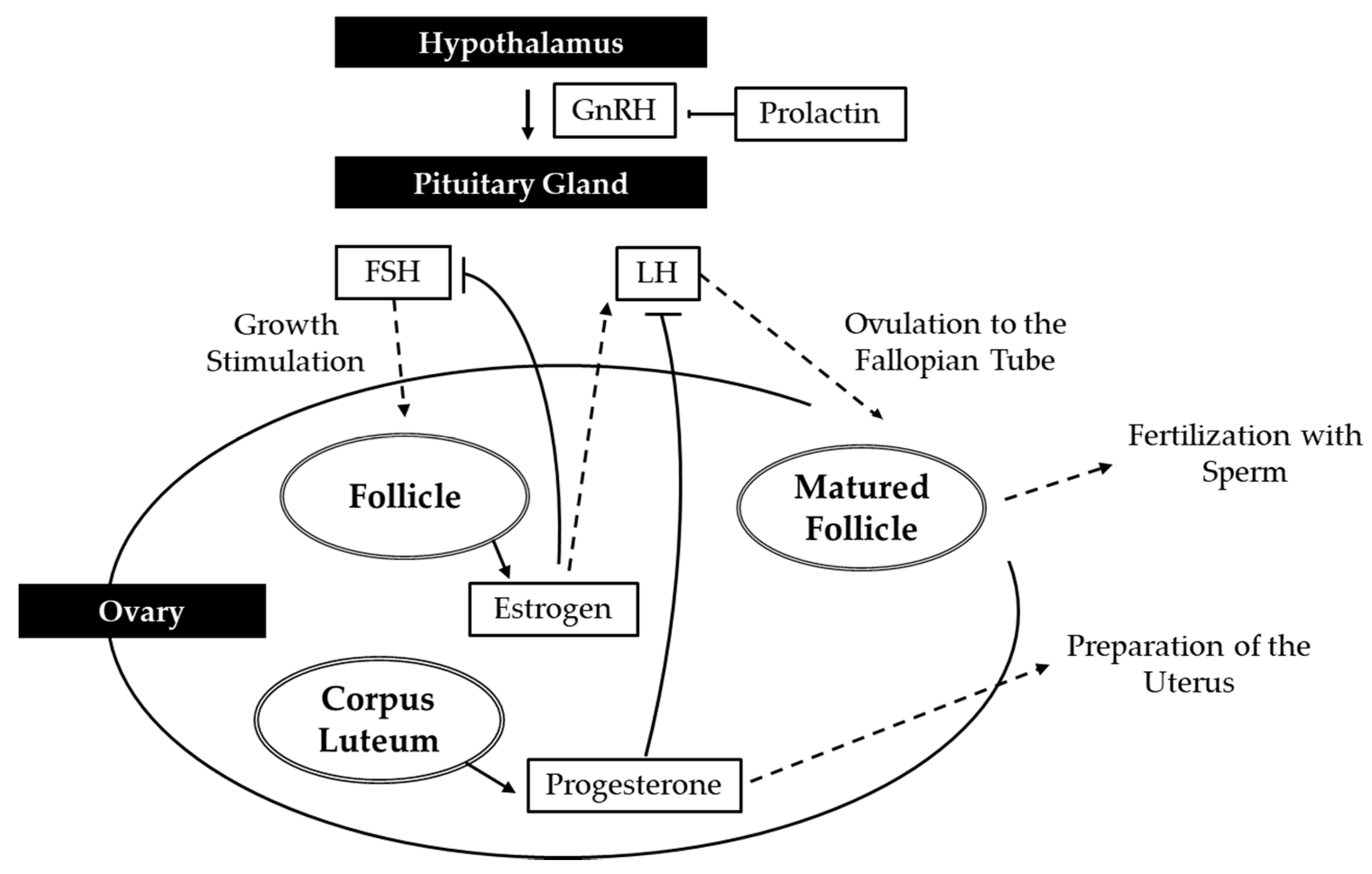 Antioxidants 09 00957 g002 Antioxidants 09 00957 g002