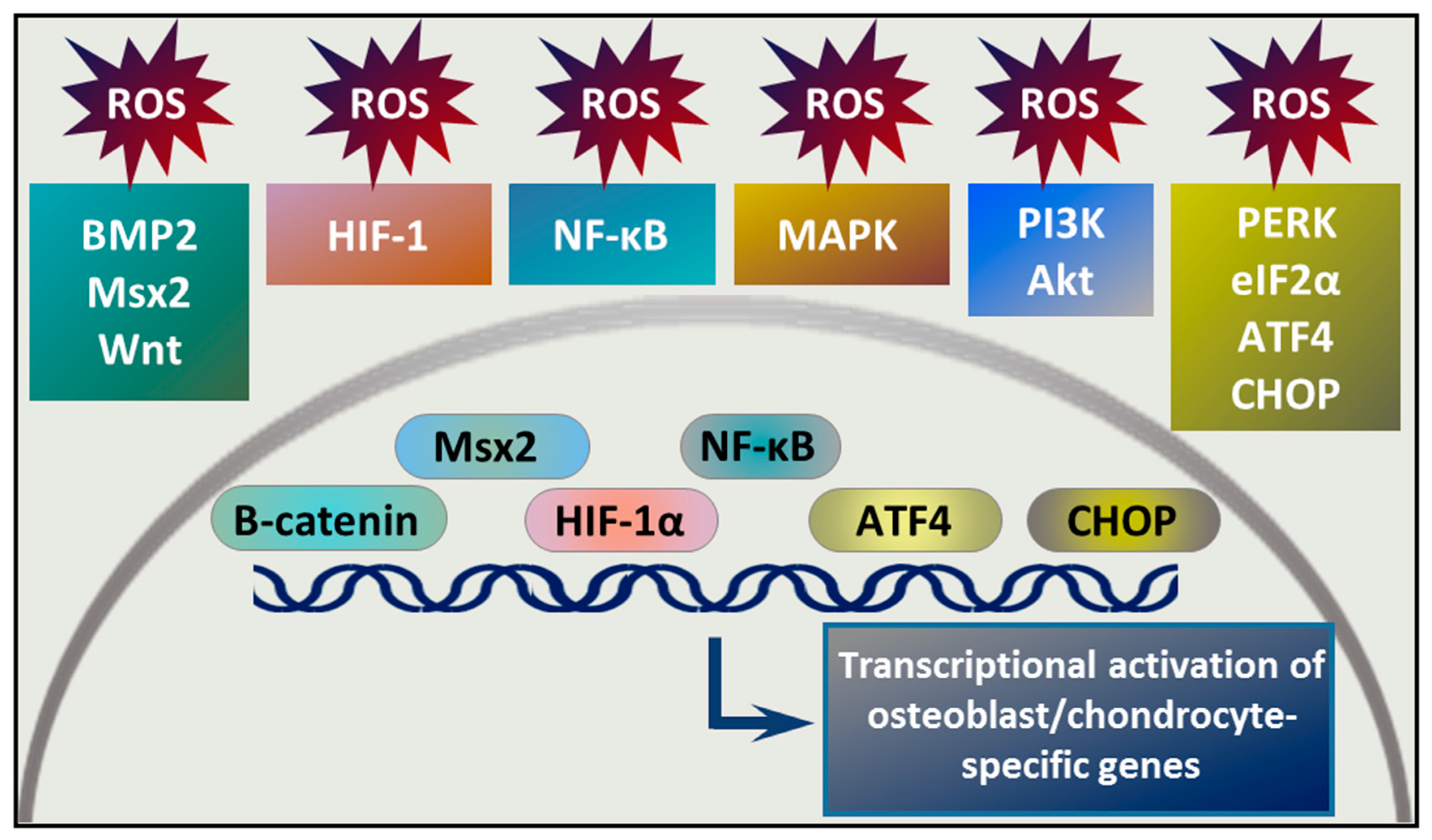 Antioxidants 09 00963 g003 Antioxidants 09 00963 g003