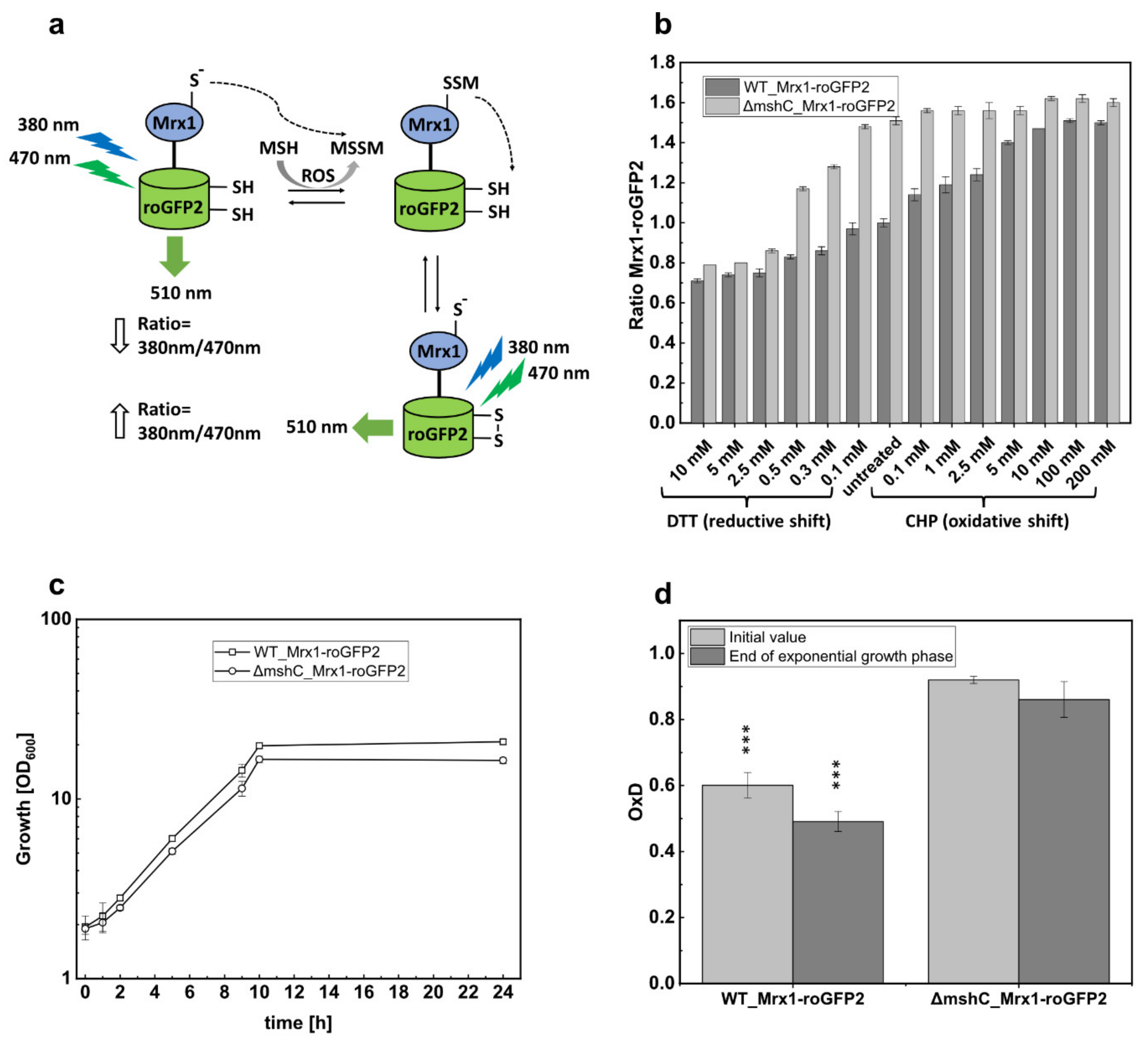 Antioxidants 09 00969 g002
