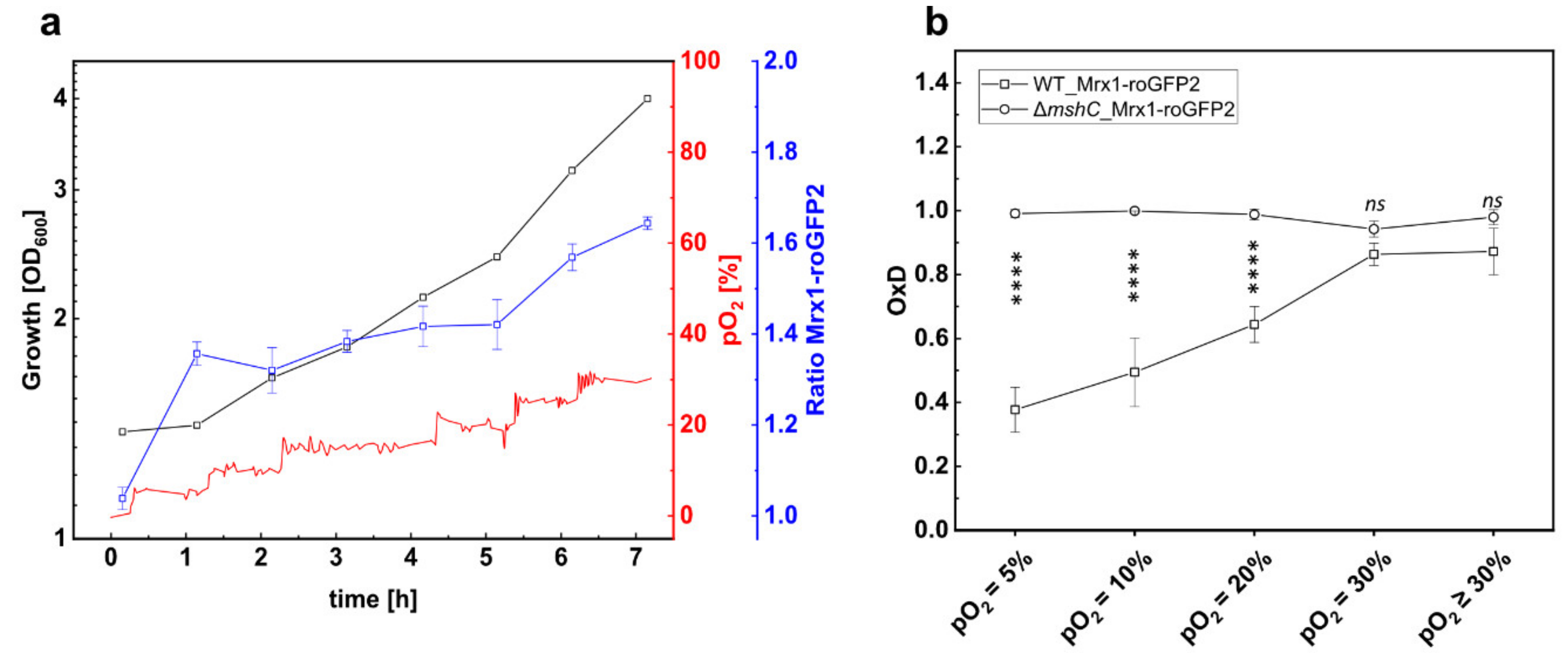 Antioxidants 09 00969 g003