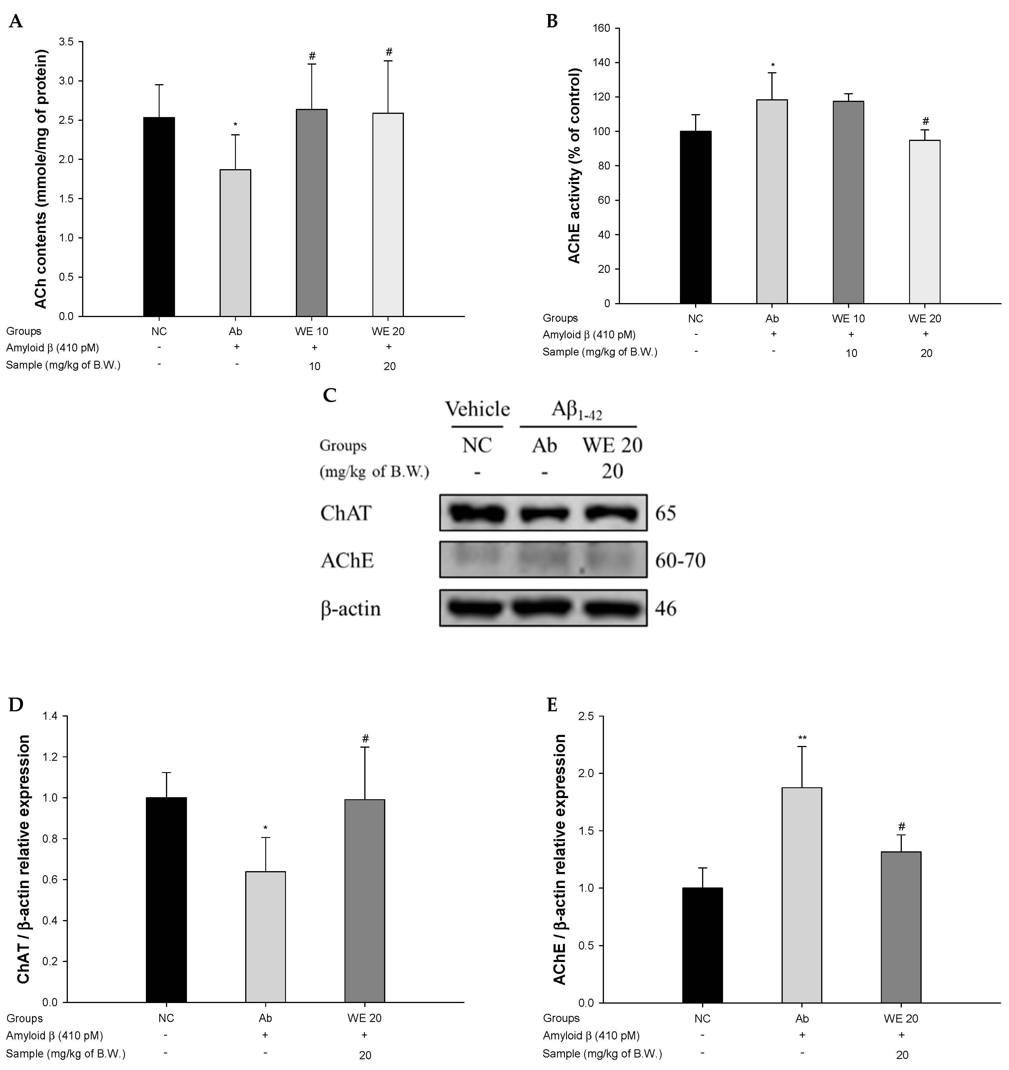 Antioxidants 09 00976 g005