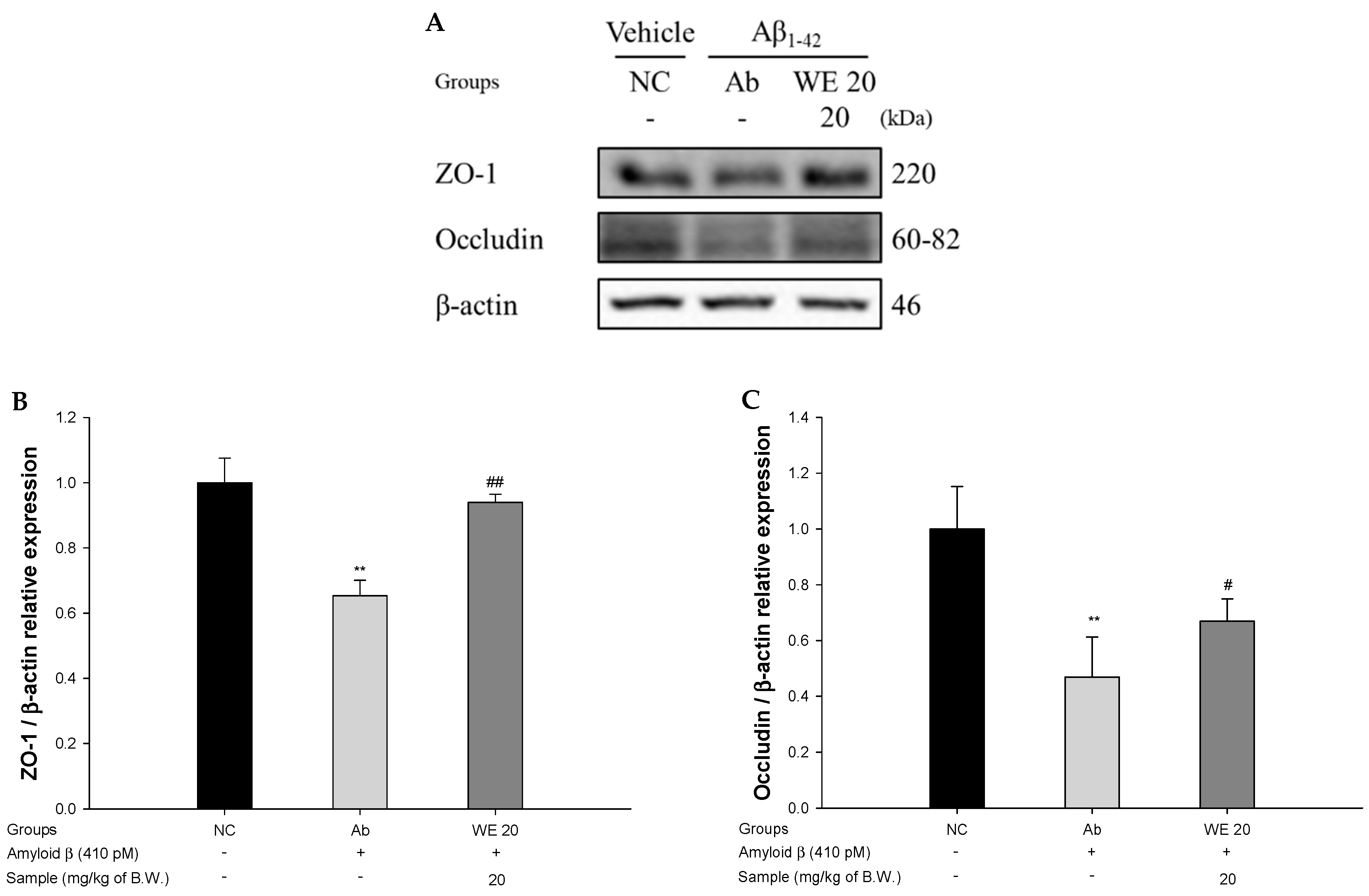 Antioxidants 09 00976 g007