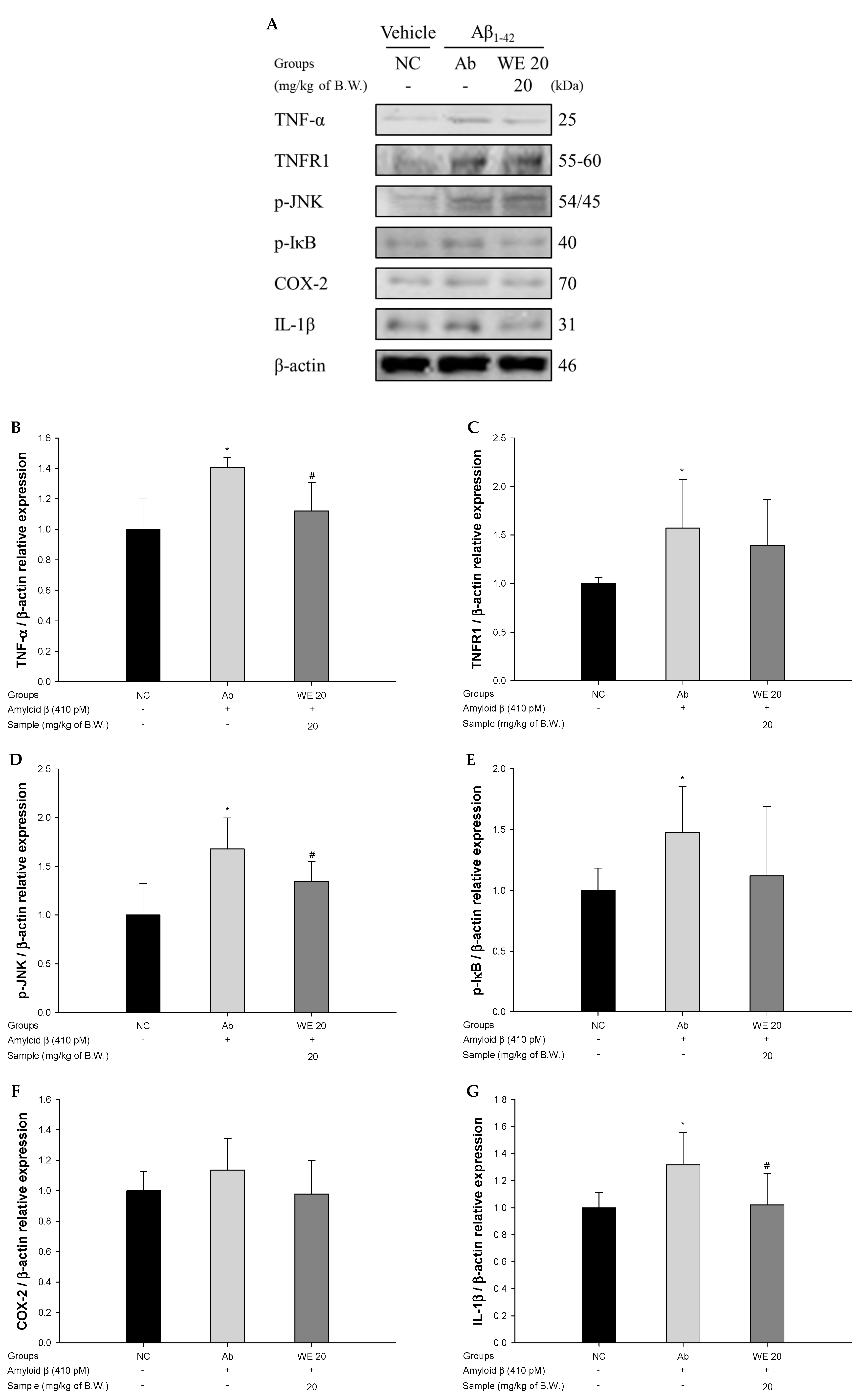 Antioxidants 09 00976 g008