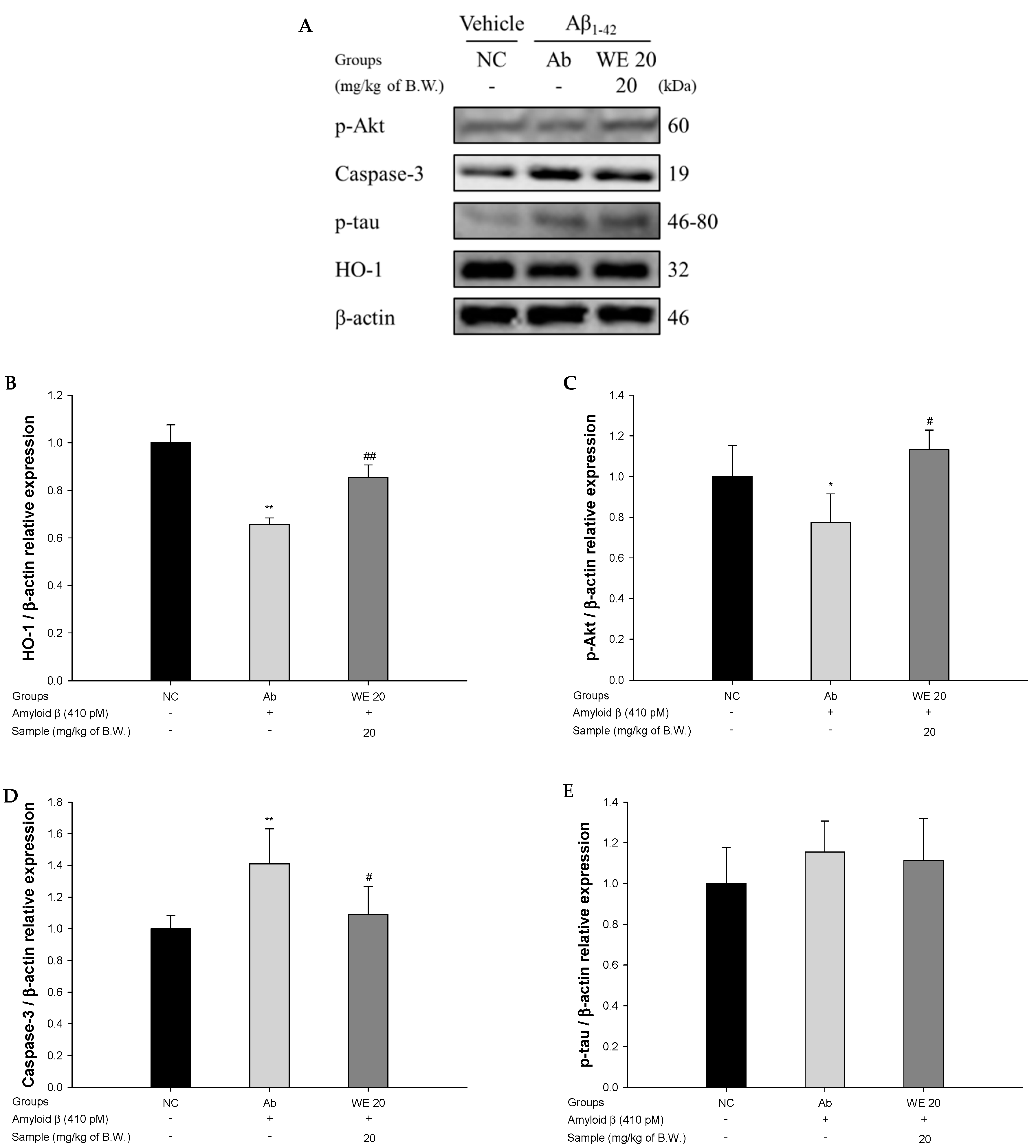 Antioxidants 09 00976 g009