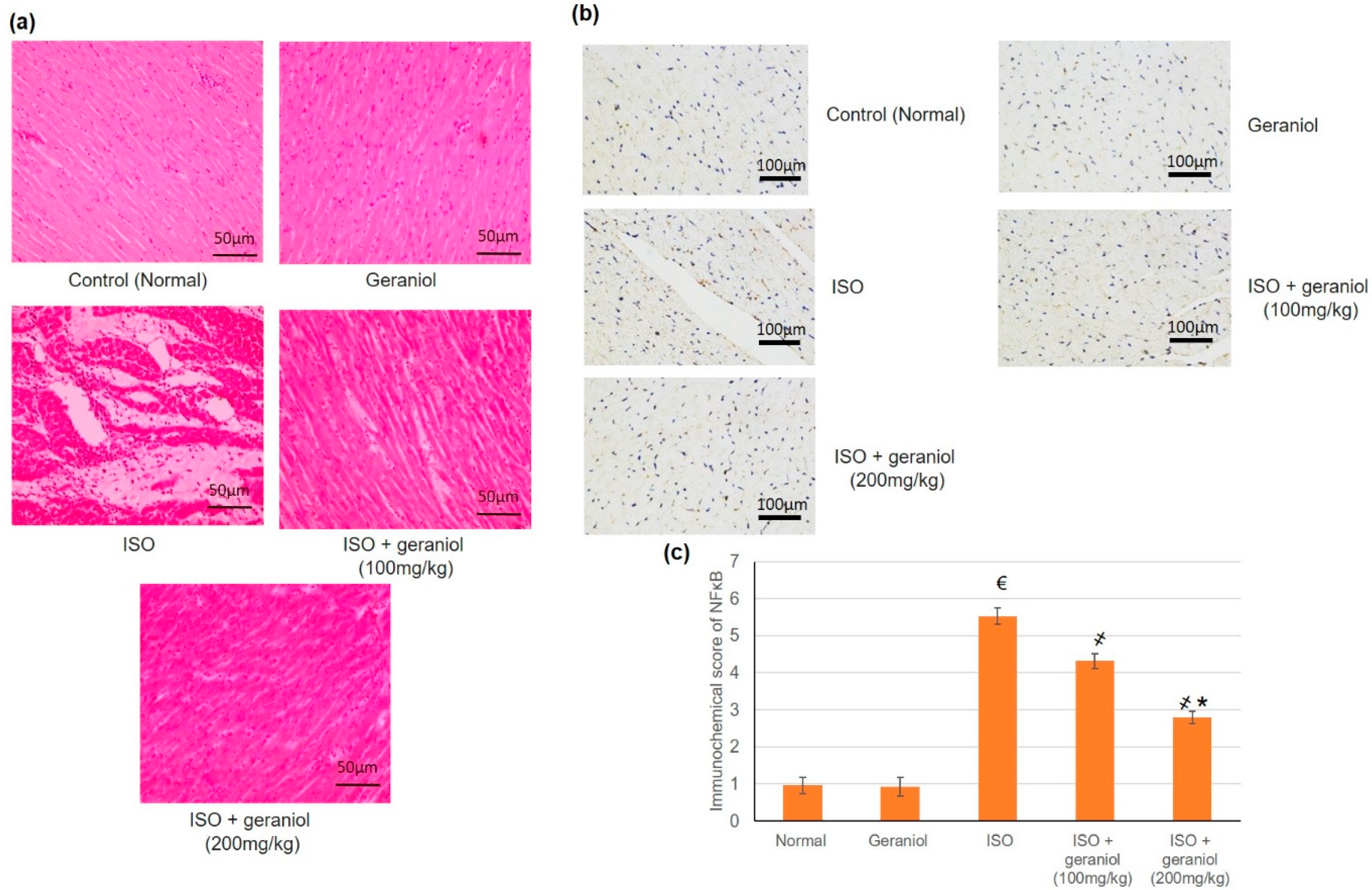 Antioxidants 09 00977 g008