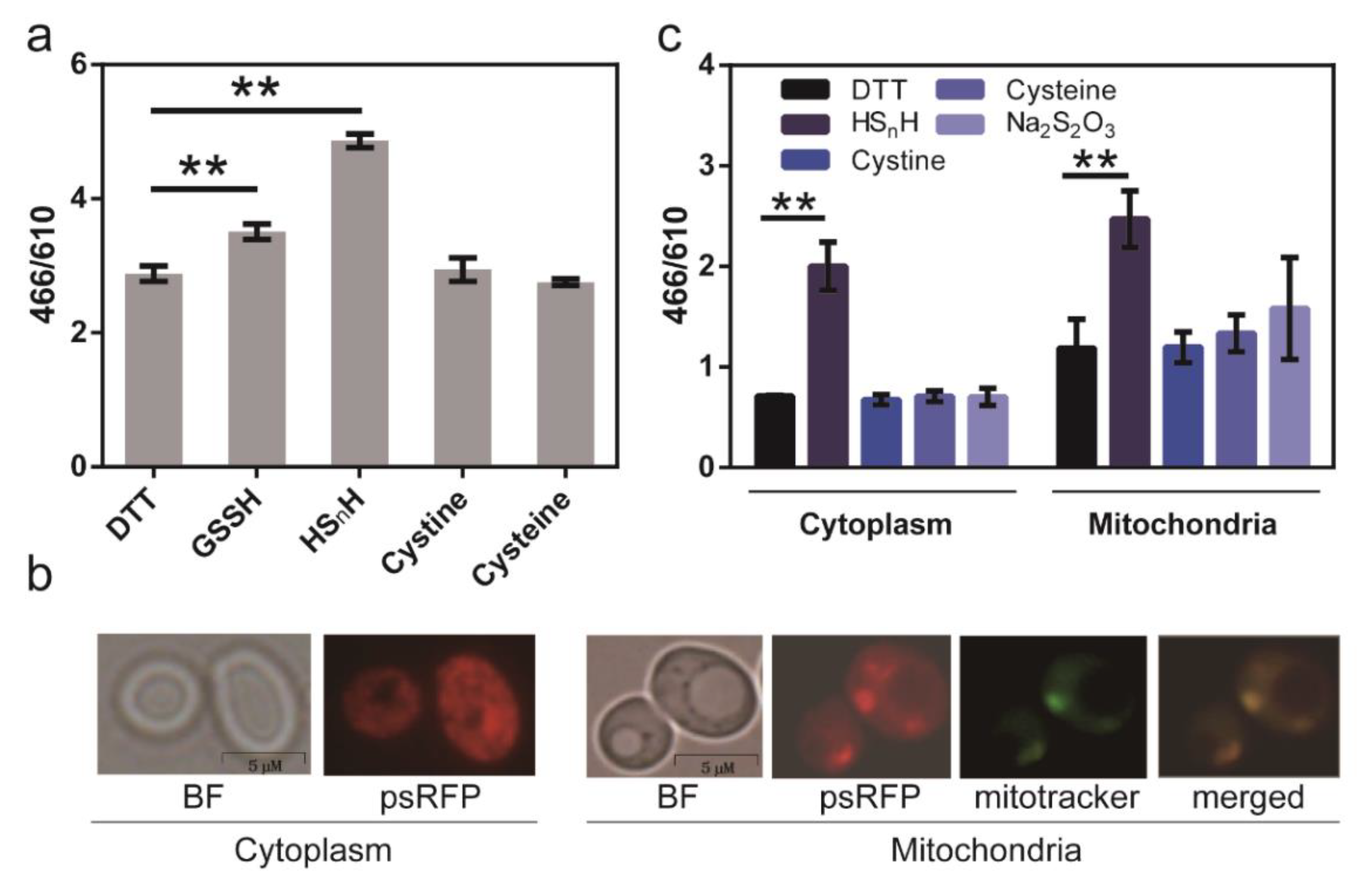 Antioxidants 09 00985 g006