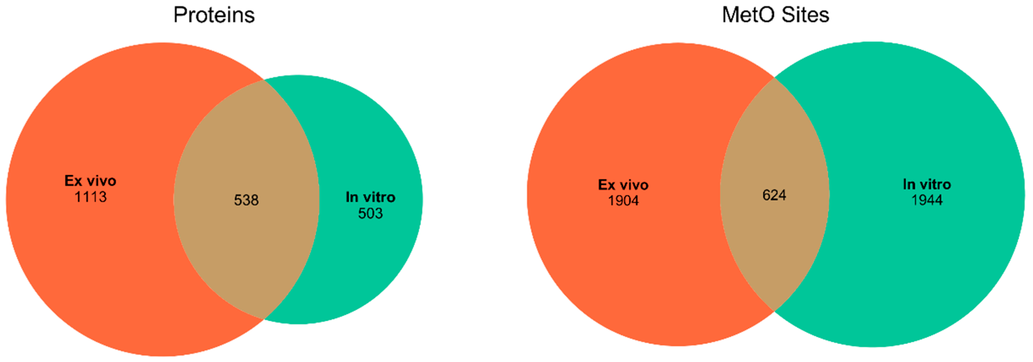 Antioxidants 09 00987 g001 Antioxidants 09 00987 g001