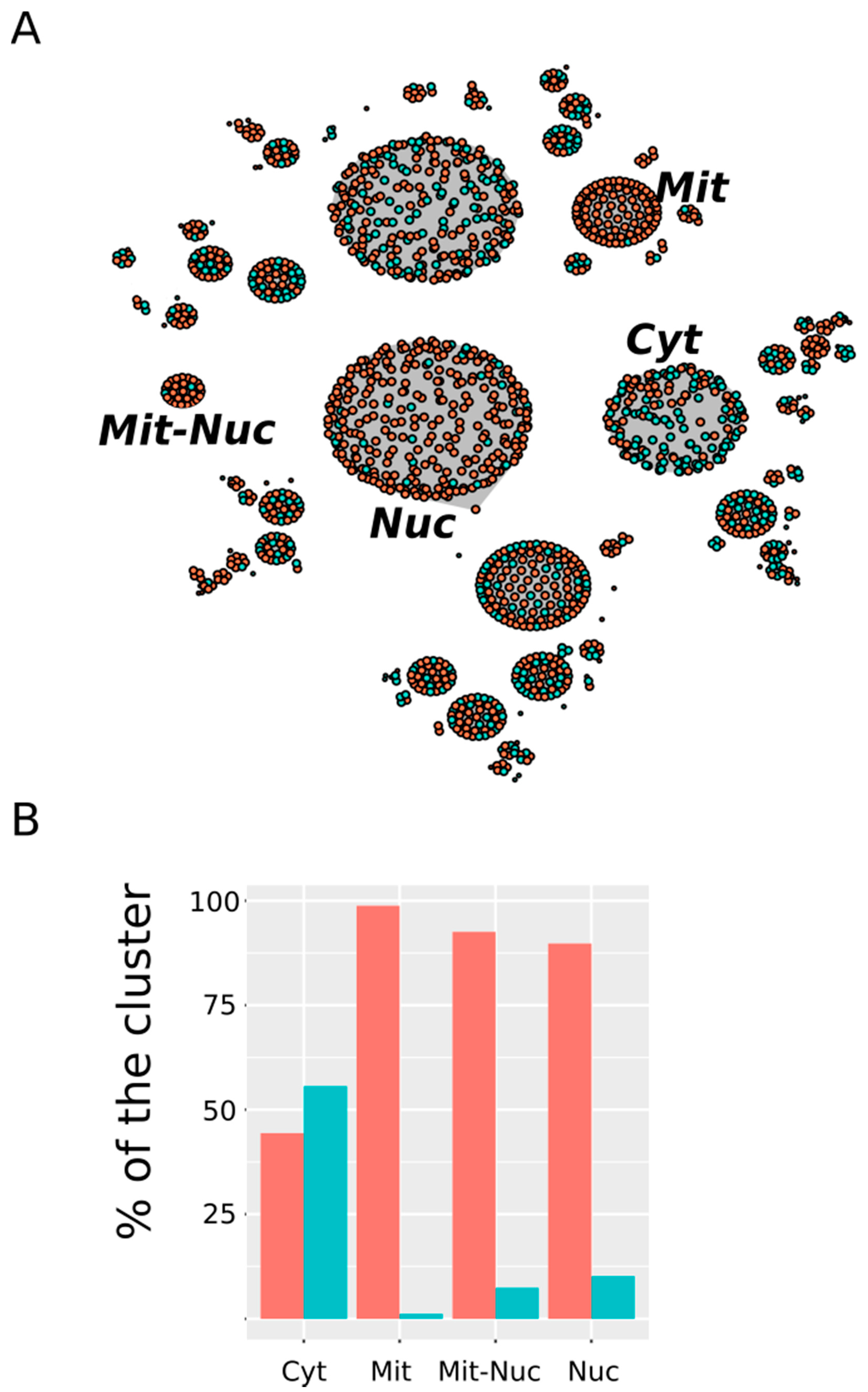 Antioxidants 09 00987 g006 Antioxidants 09 00987 g006