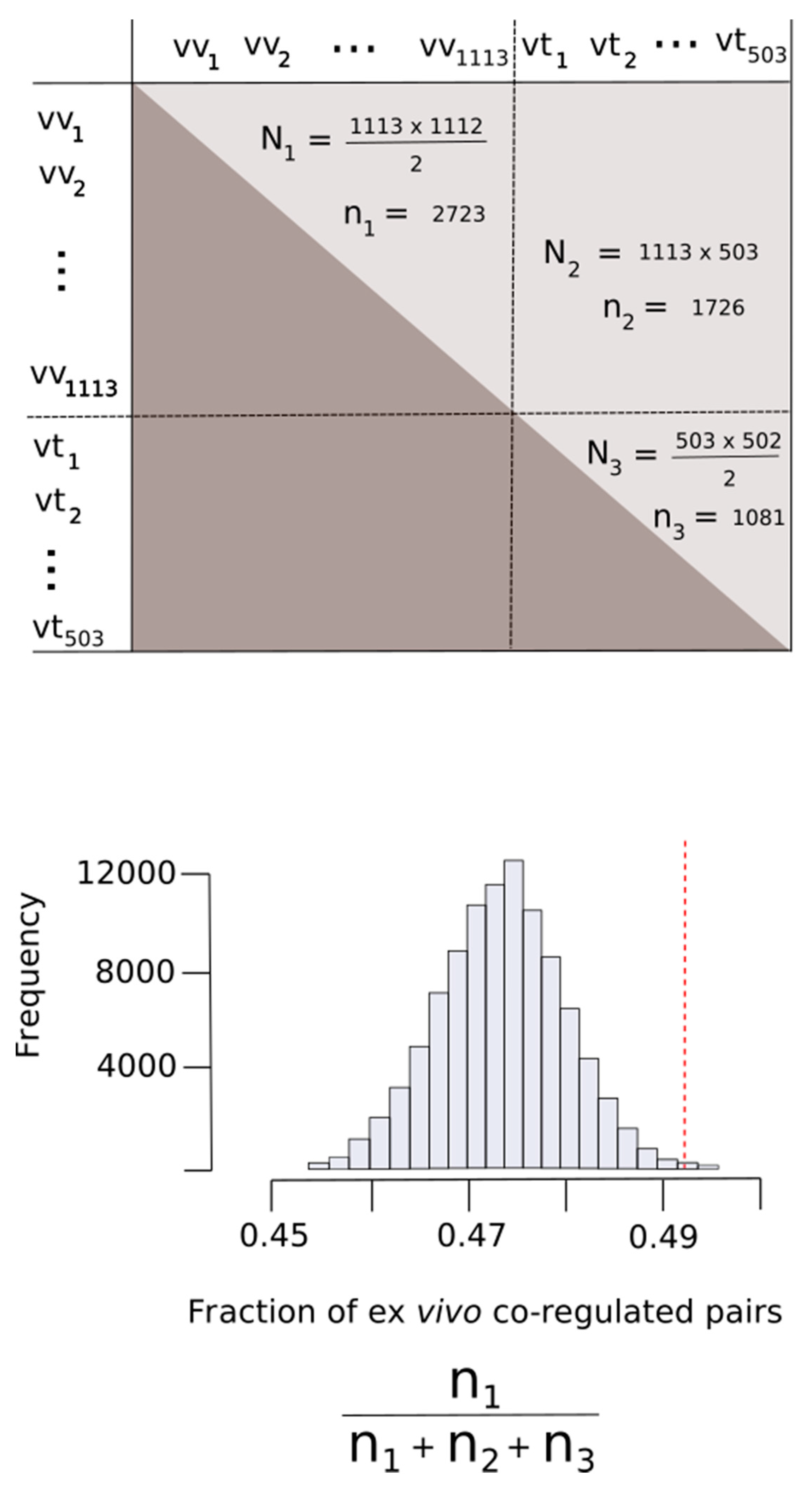 Antioxidants 09 00987 g009 Antioxidants 09 00987 g009