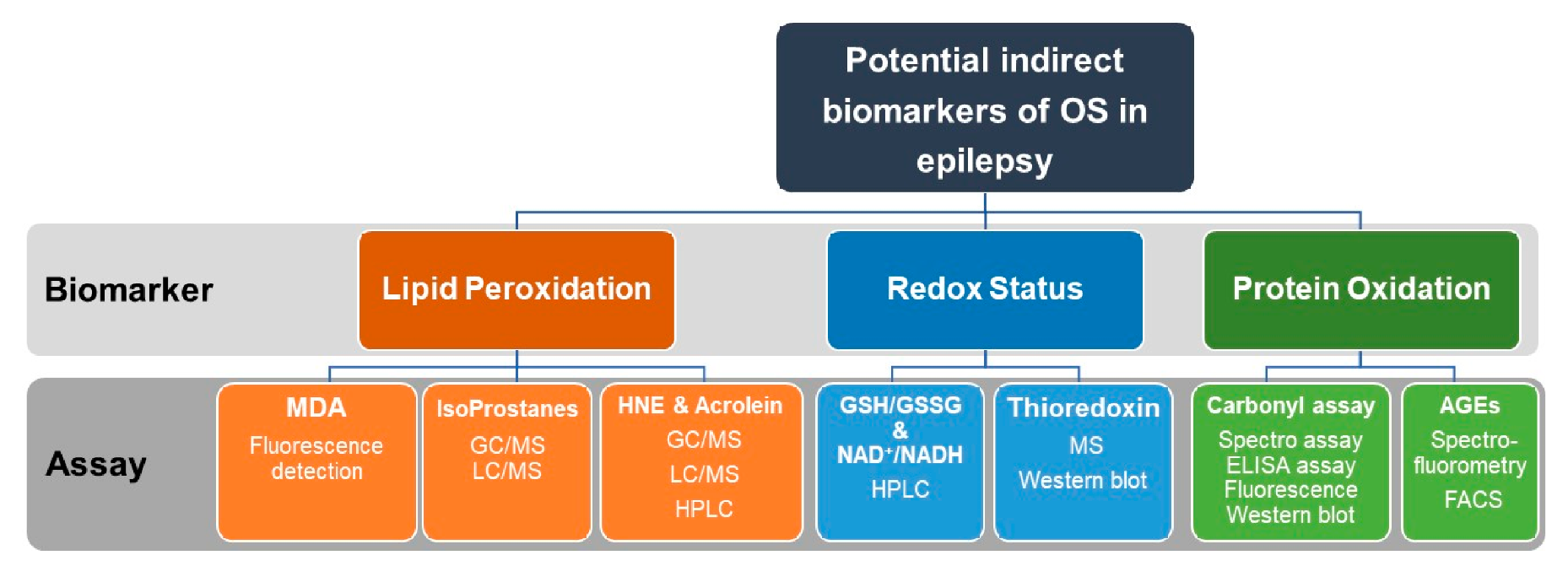 Antioxidants 09 00990 g005 Antioxidants 09 00990 g005